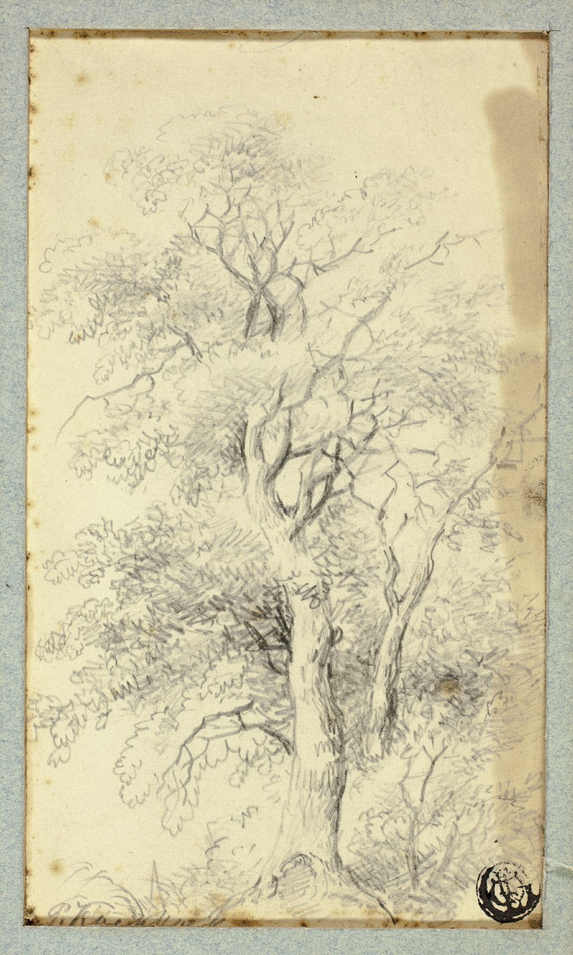 Tree by Hendrik Pieter Koekkoek