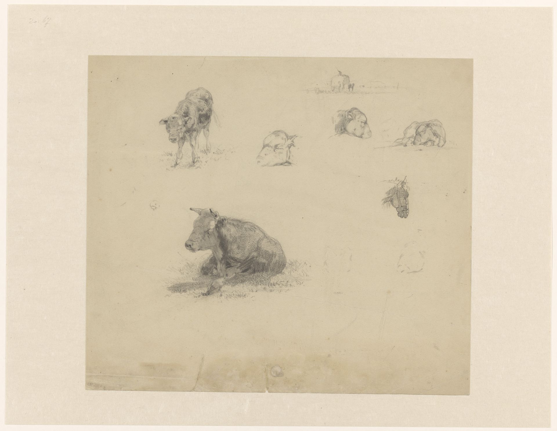 Studies van koeien, een kalf een een paardenhoofd by Willem Maris