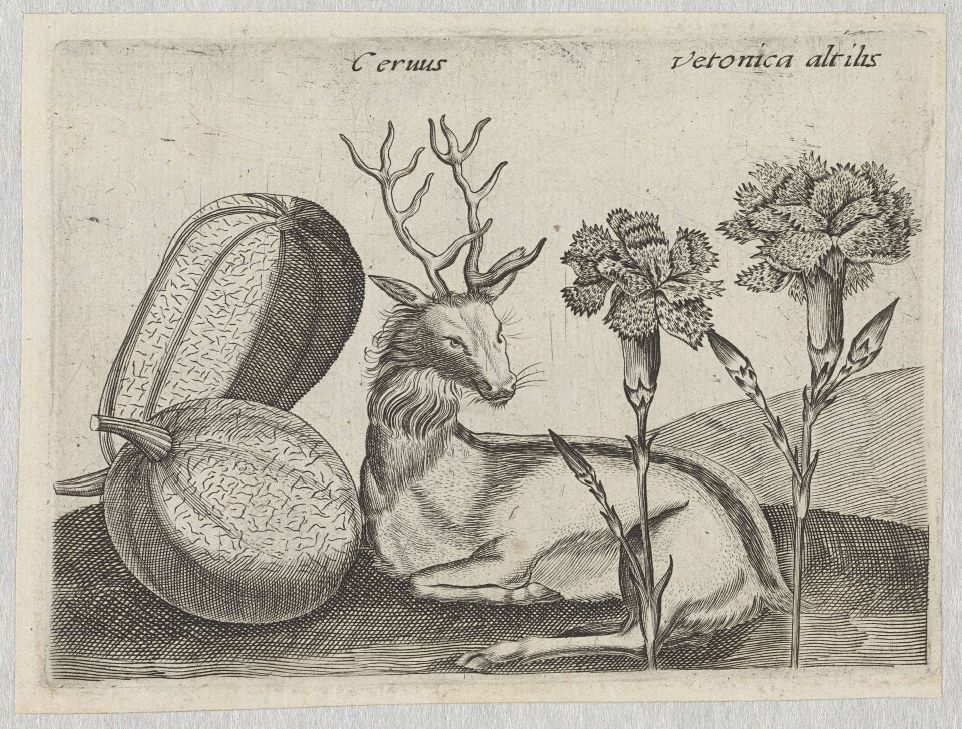 Series of Prints with Flowers and Animals in a Landscape by Johann Hogenberg