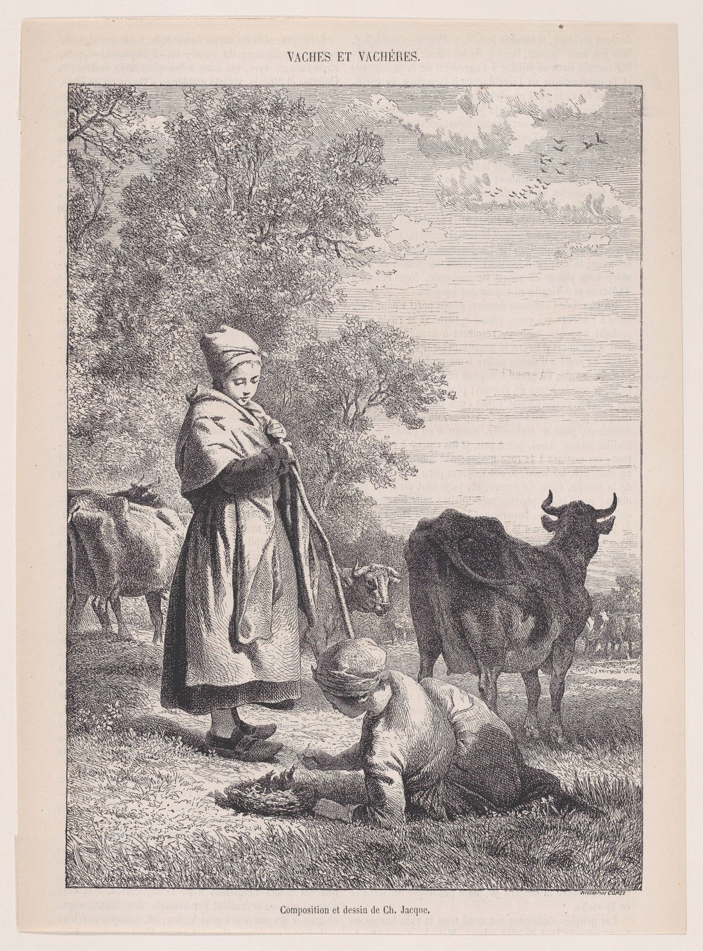 Cows and Cowherds, from "Le Magasin Pittoresque" by Charles Jacque