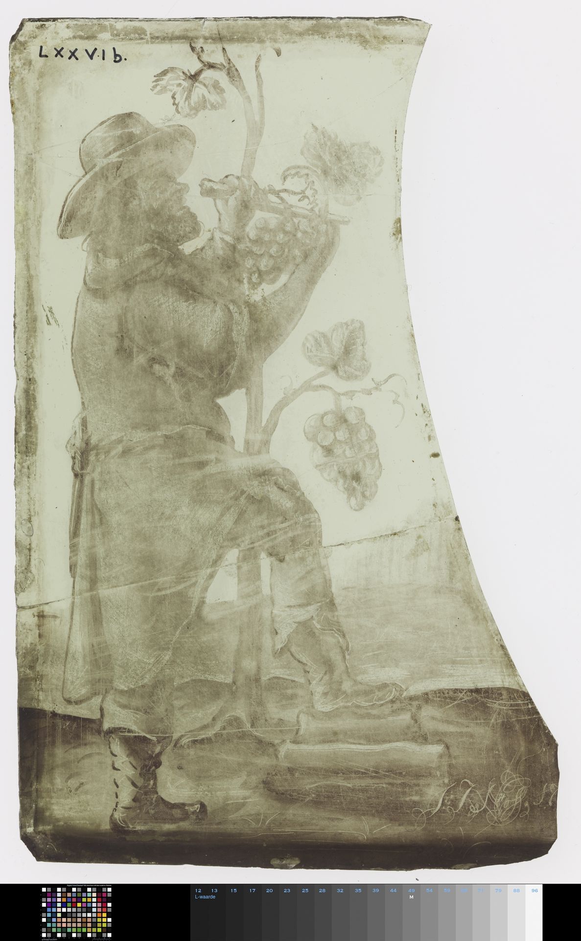 Ruit met een fragment van een wijngaardenier by J.J. Hoff