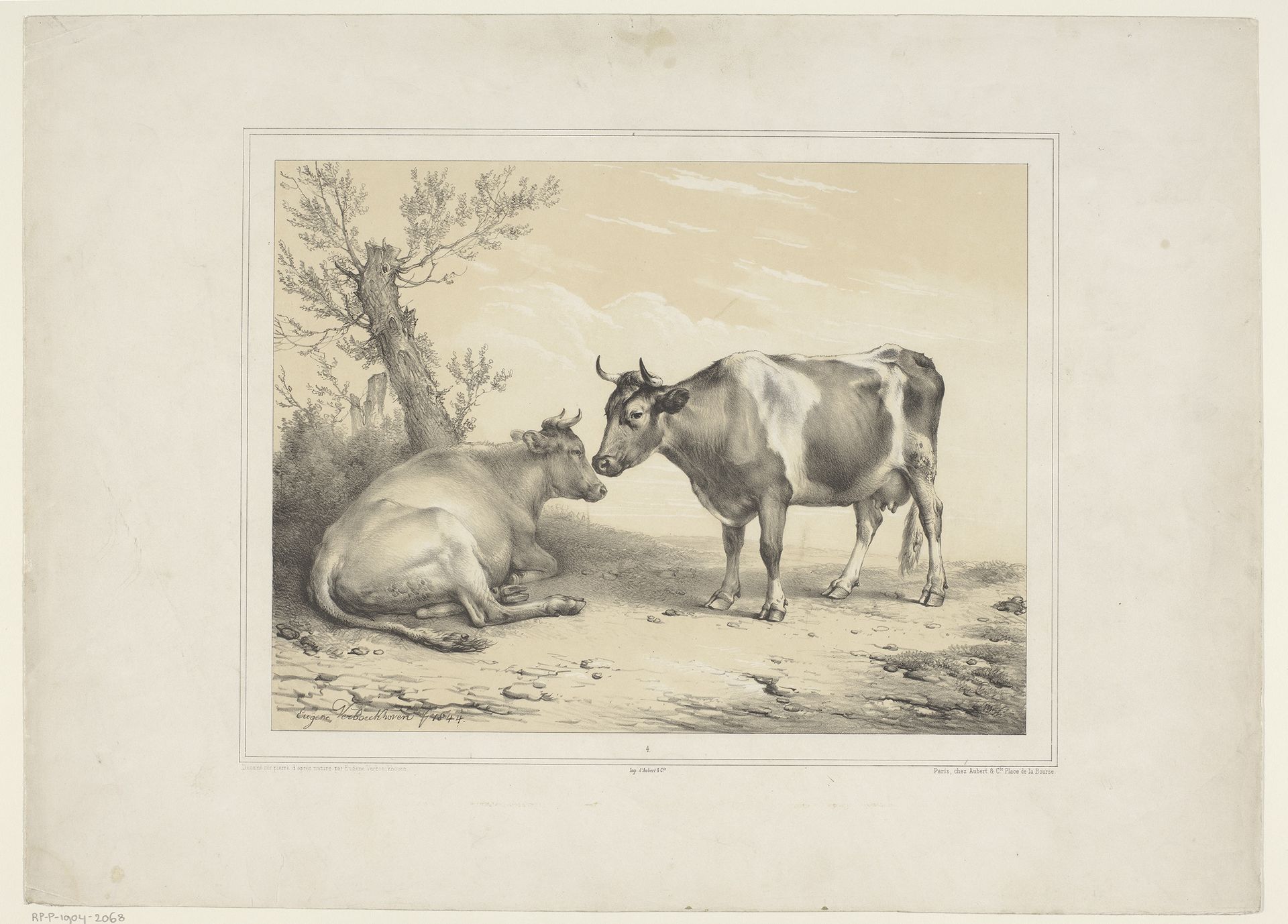 Twee koeien by Eugène Verboeckhoven