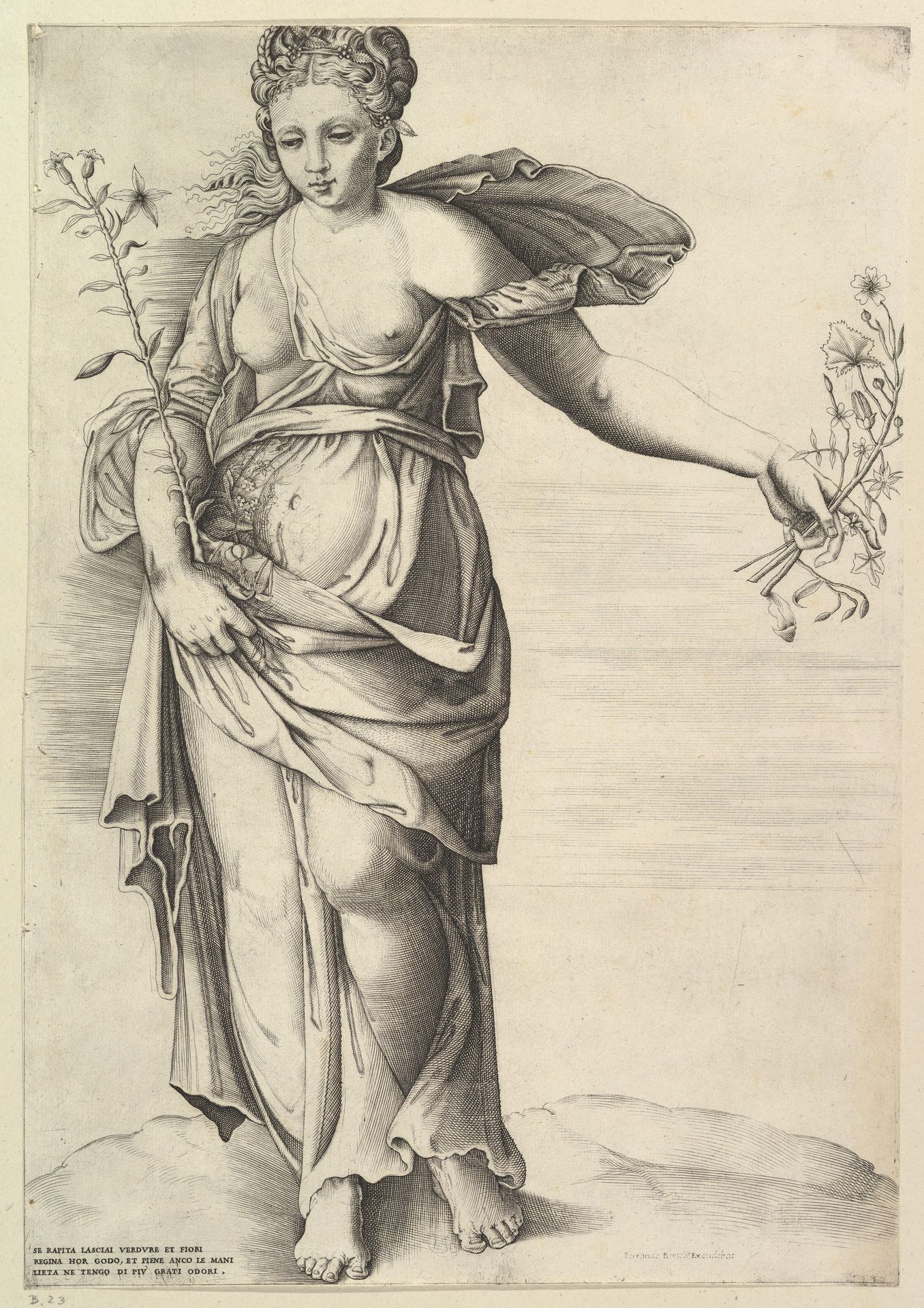 Flora by Anonymous