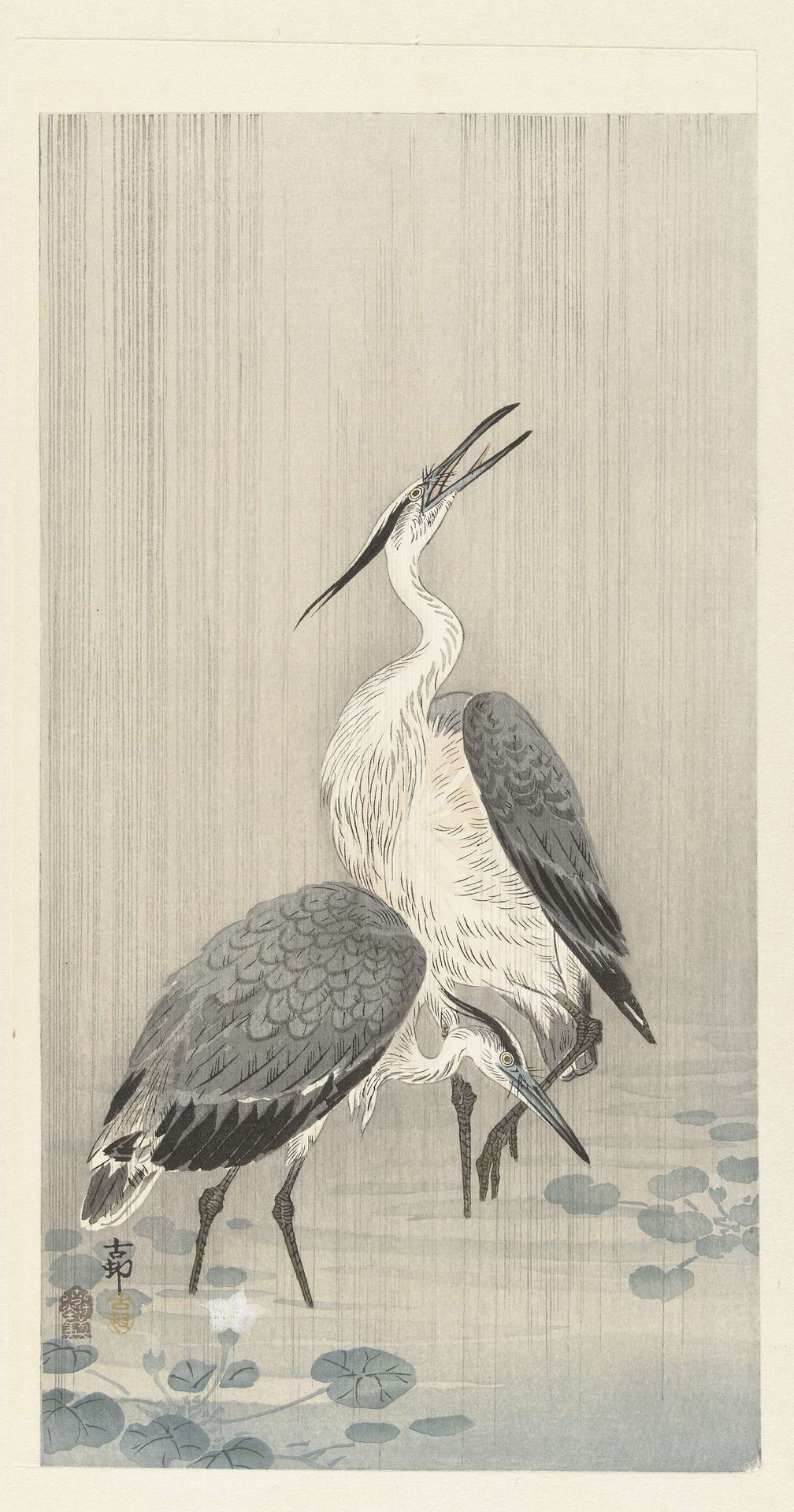 Twee reigers in de regen by Ohara Koson