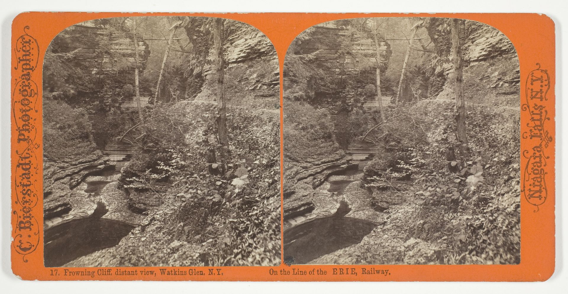 Frowning Cliff, distant view, Watkins Glen, N.Y. by Charles Bierstadt