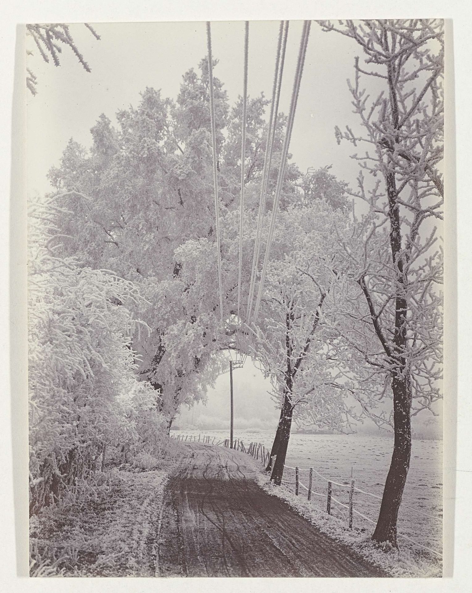Winterlandschap langs de Aelbertsbergweg in Bloemendaal by Richard Tepe