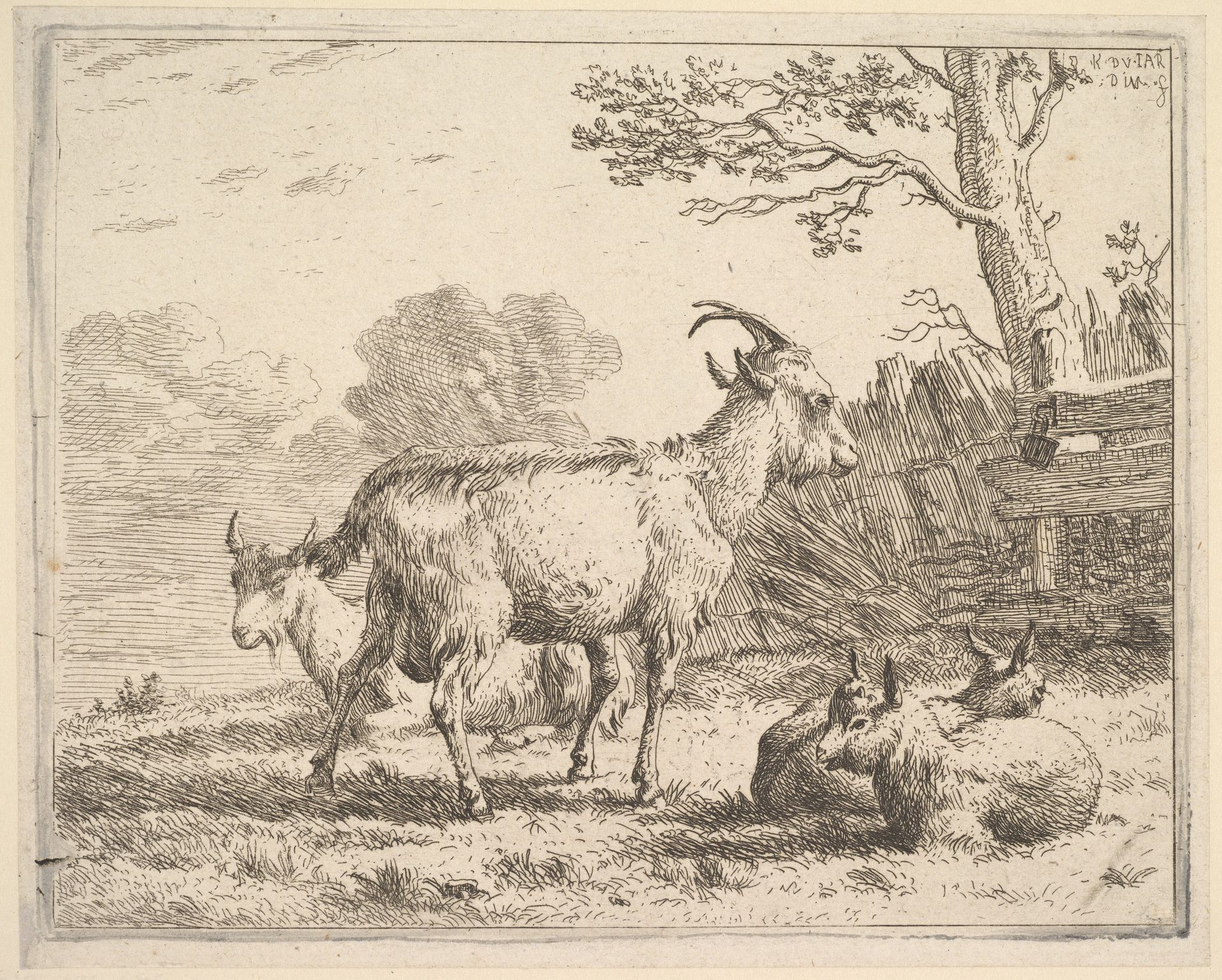 Four goats; at the back a nanny goat lies on the ground, in the middle a billy goat stands, in the front two kids lie on the ground, a fence and tree beyond by Karel Dujardin