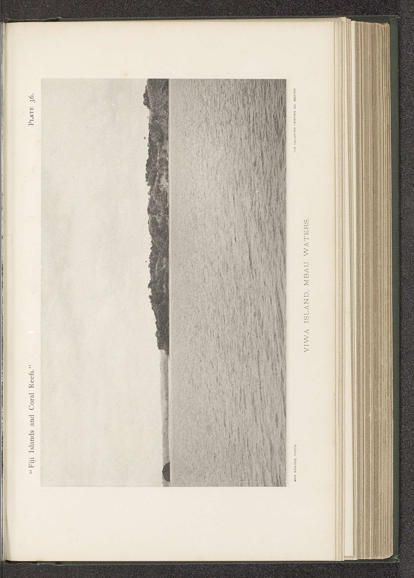 Gezicht op Viwa by Maximilian Agassiz