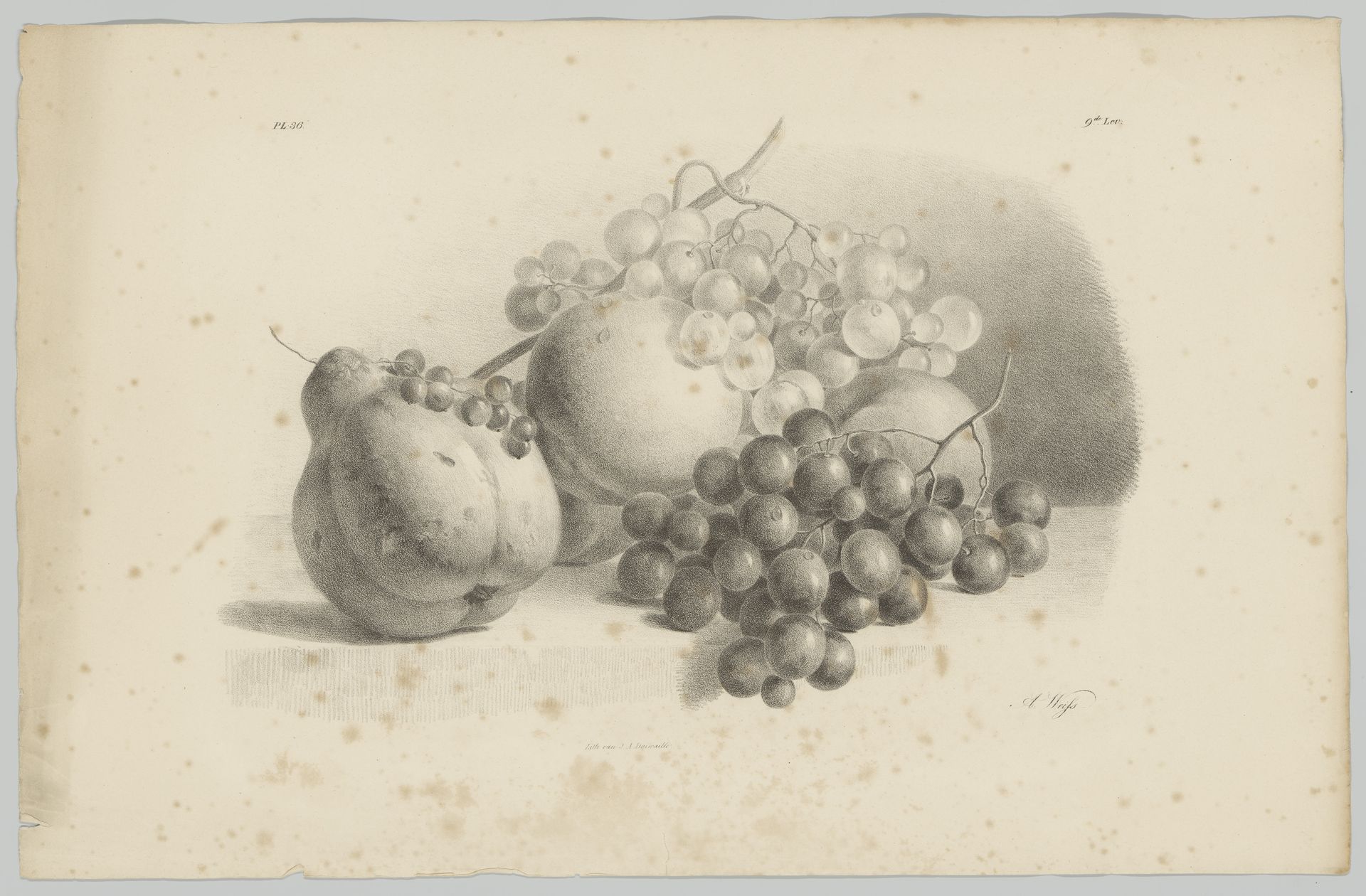 Pompoen, bessen, druiven en perziken by Anton Weiss