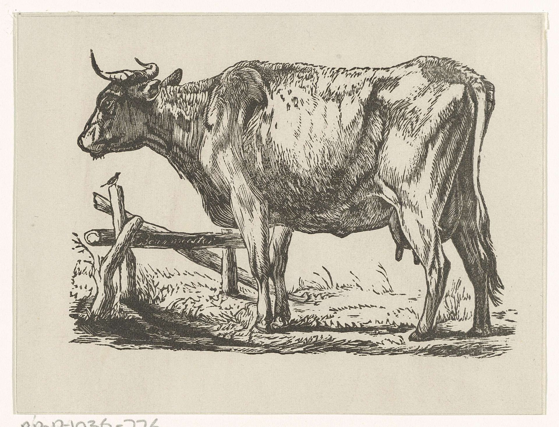 Koe by Barend Johannes Bouwmeester