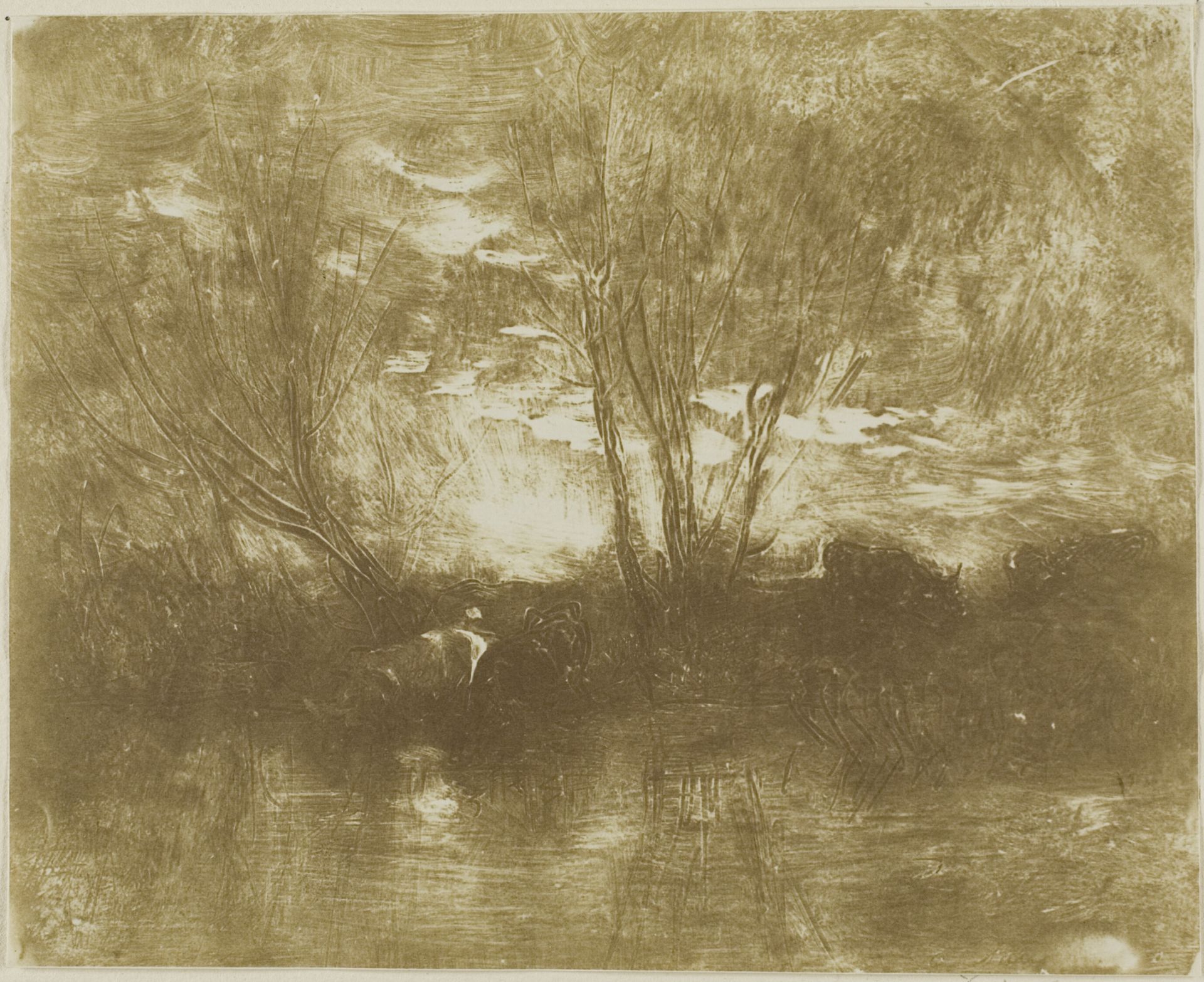 Cows at the Watering Place by Charles François Daubigny