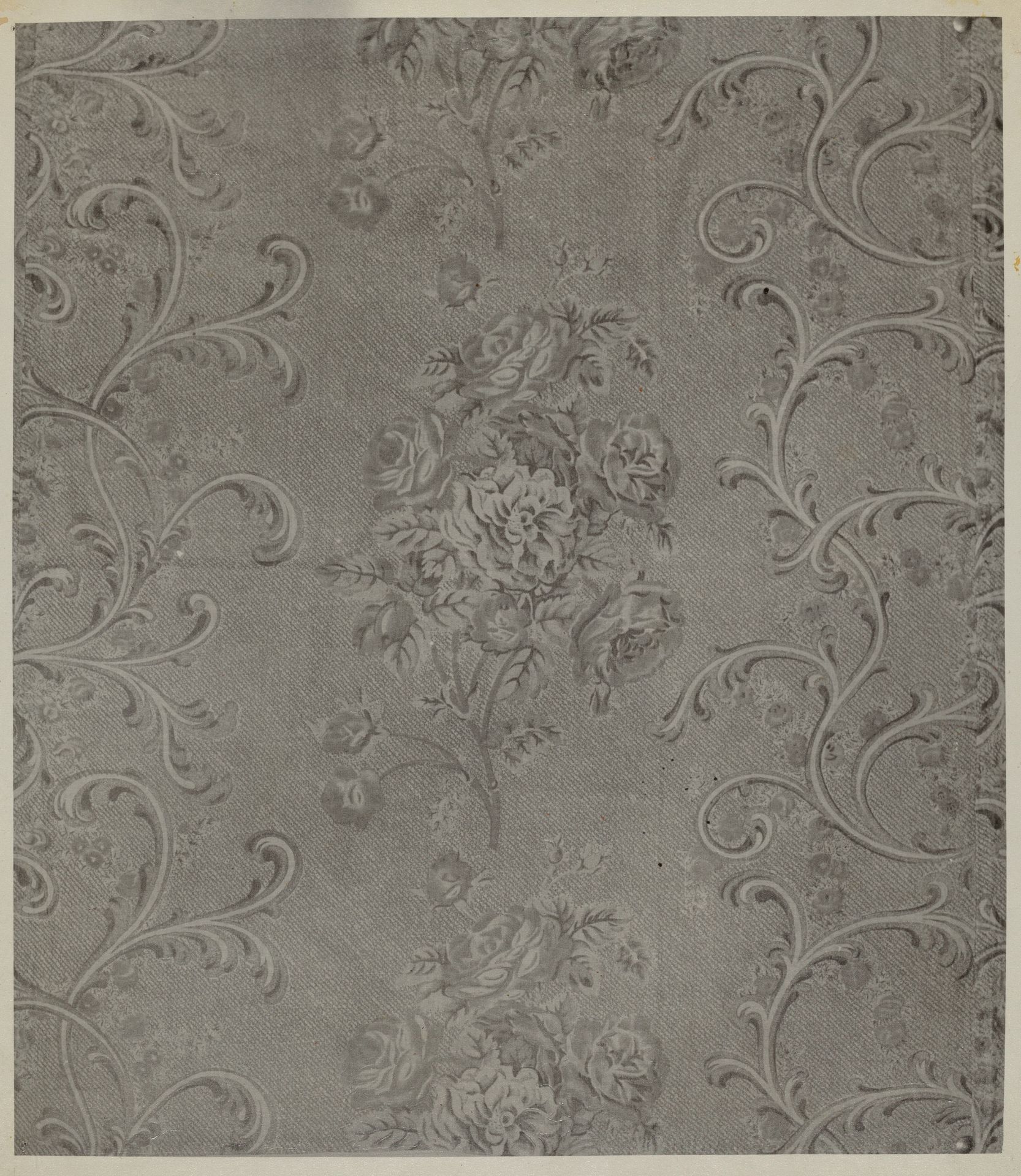 Printed Cotton by George Loughridge