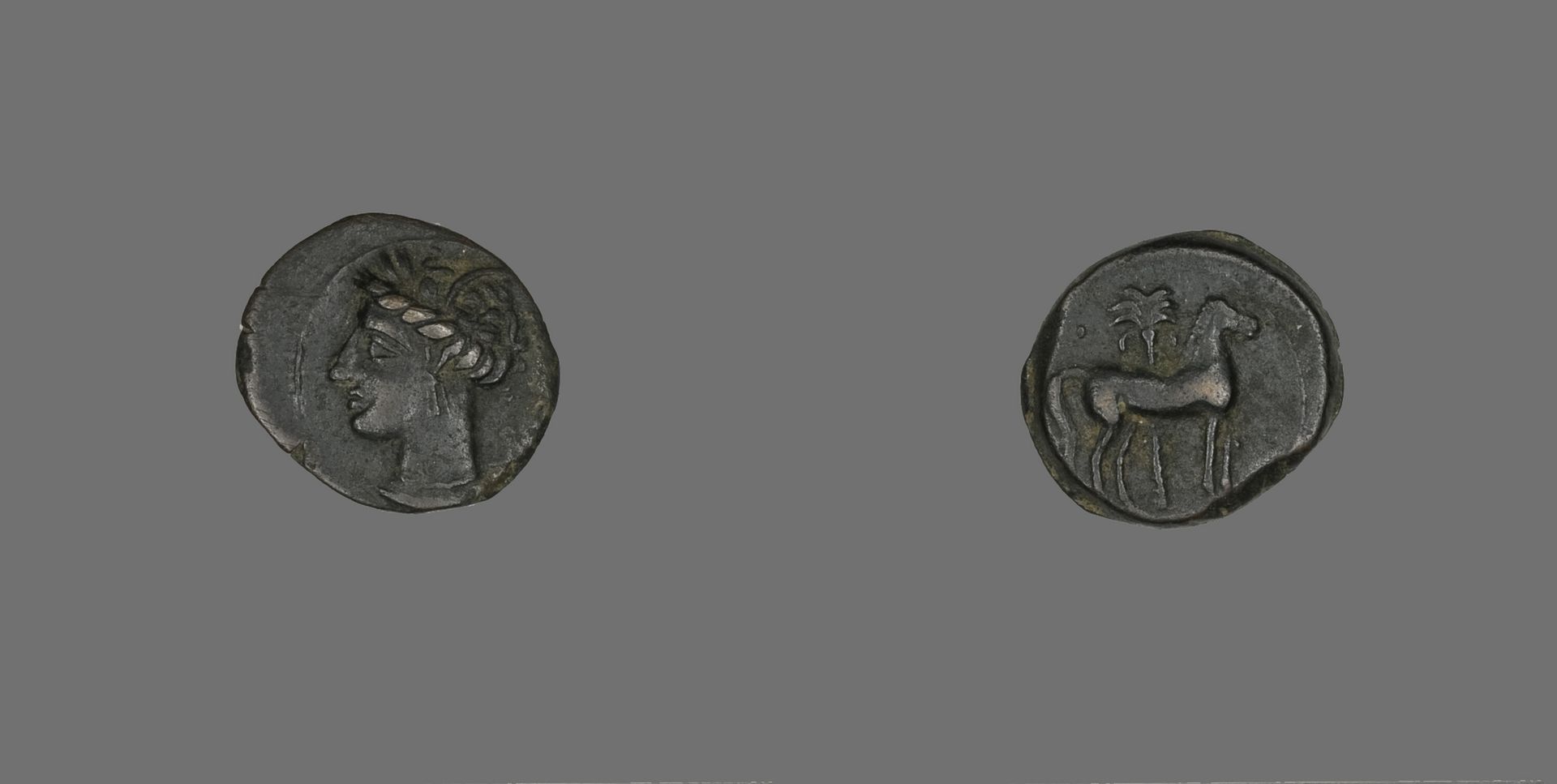 Coin Depicting a Horse and Palm Tree by Carthaginian