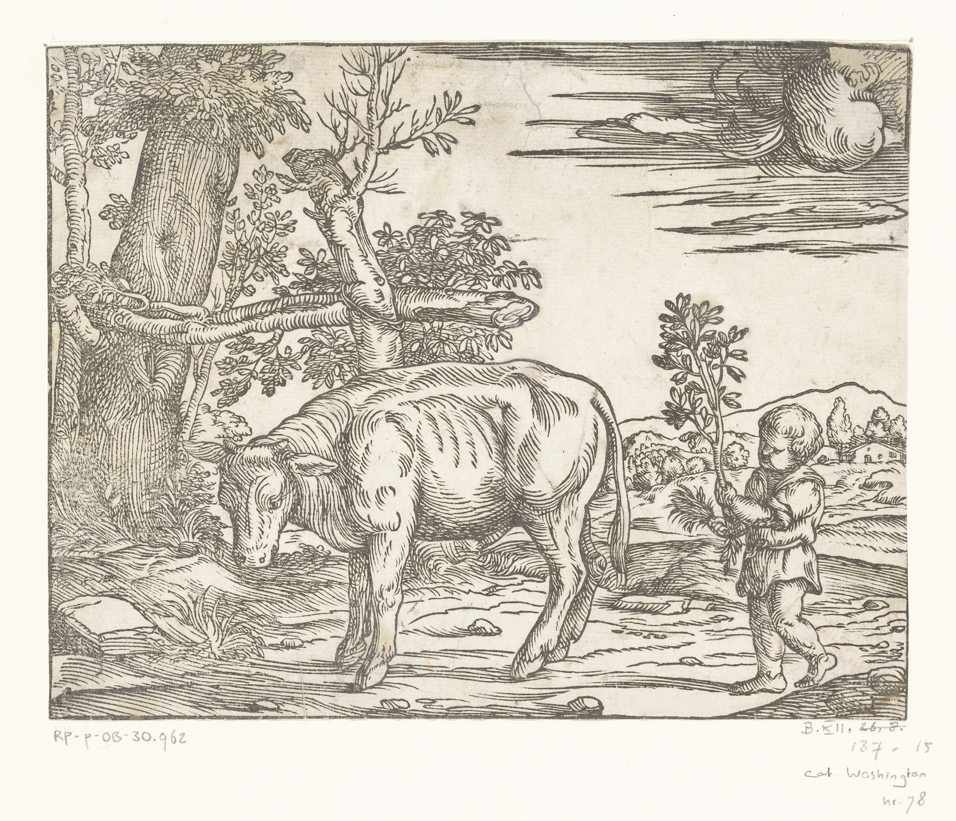Jongen met een stier by Nicolò Boldrini
