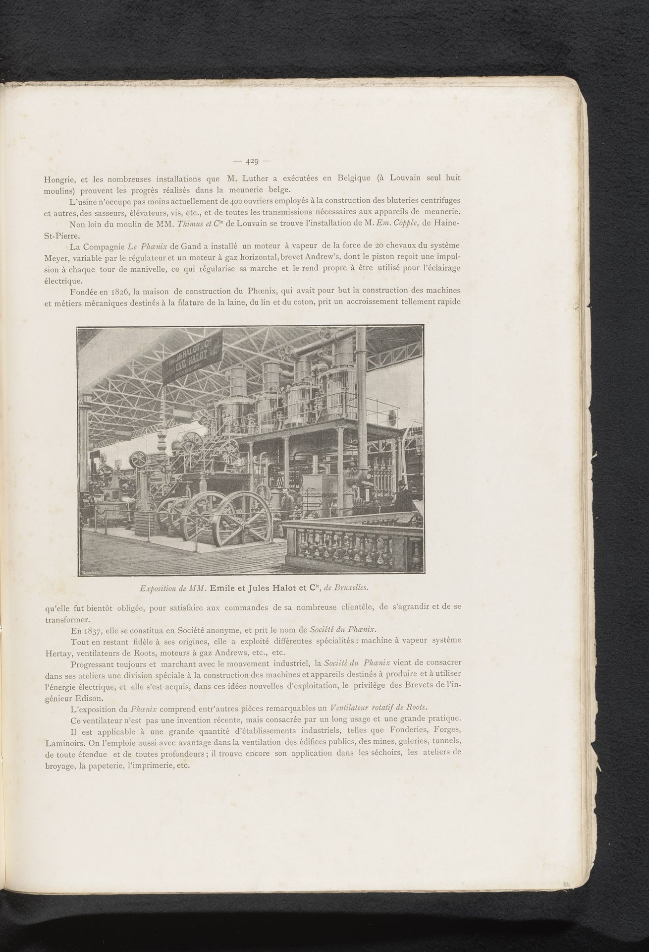 Gezicht op een opstelling van Emile et Jules Halot et Cie op de Wereldtentoonstelling van 1885 in Antwerpen by Anonymous