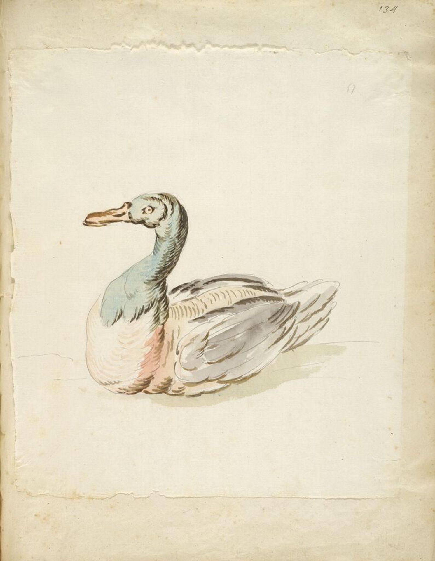 Seated Duck; verso: blank by Jean-Baptiste Oudry