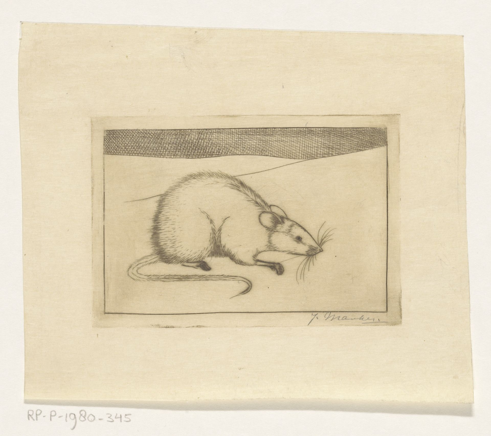 Muis by Jan Mankes