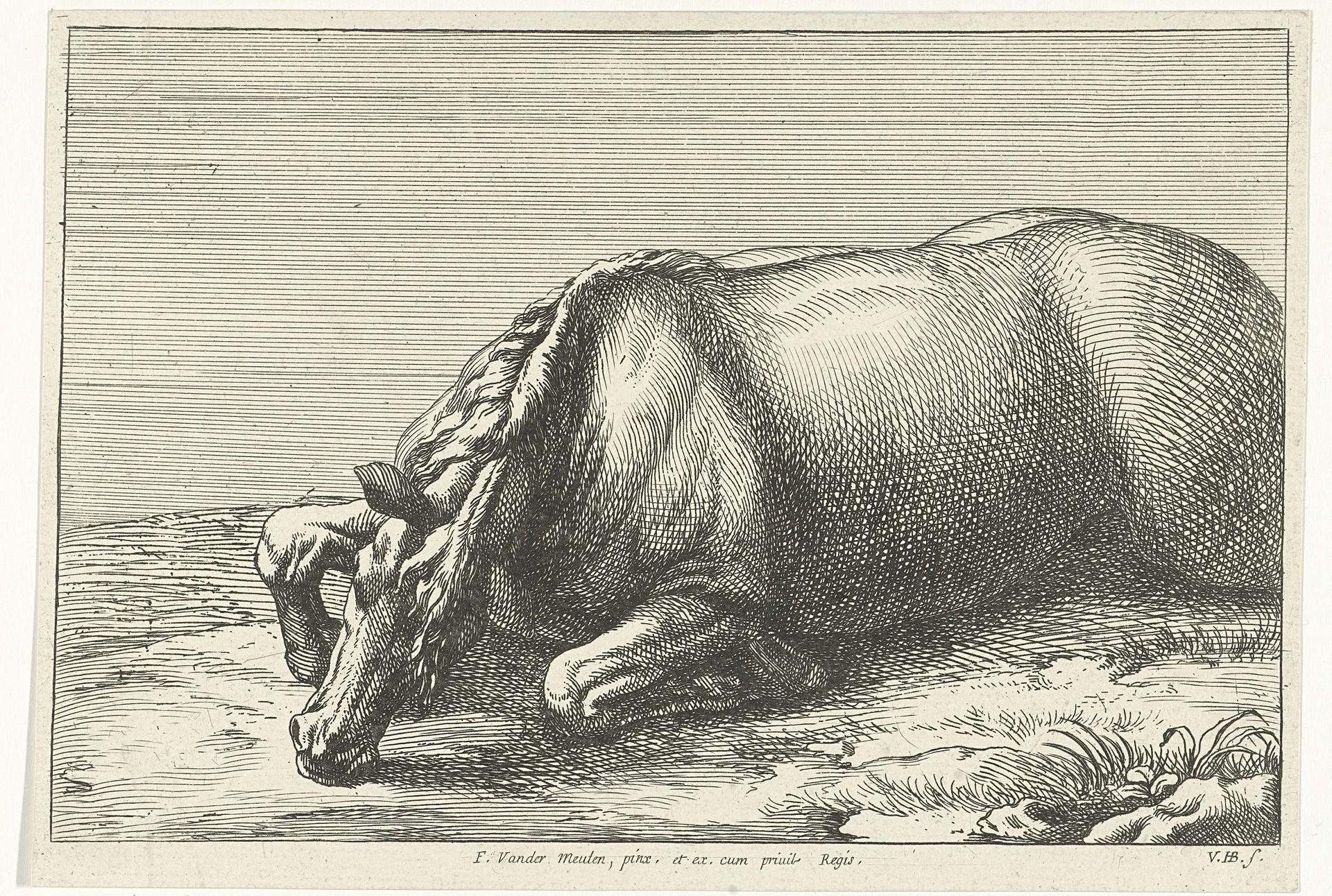 Gesneuveld paard op de linkerzij gezien by Jan van Huchtenburg