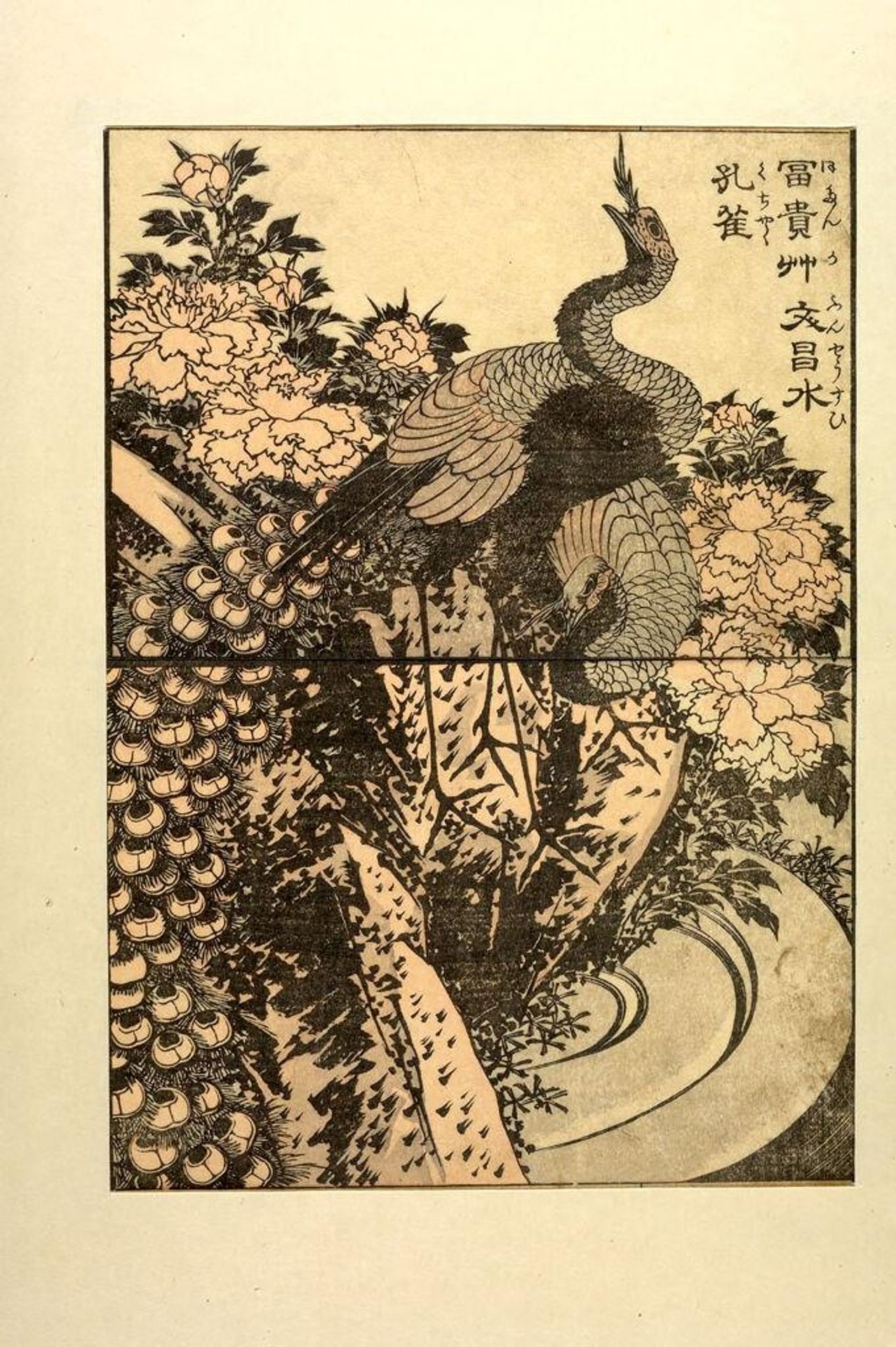 from the illustrated book "KachÅ gaden" by Katsushika Taito II äºä»£èé£¾æ´æ