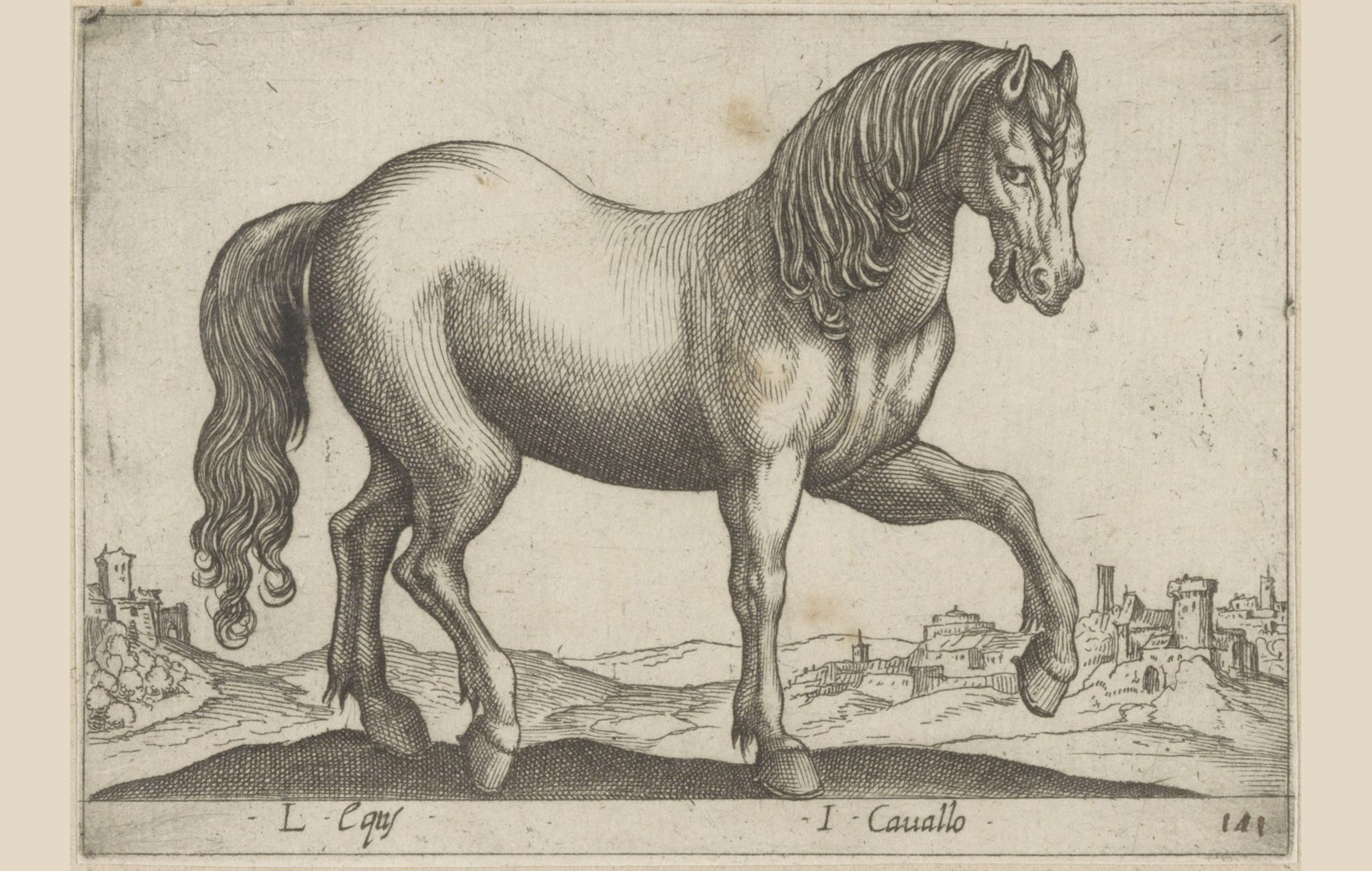 Paard by Antonio Tempesta