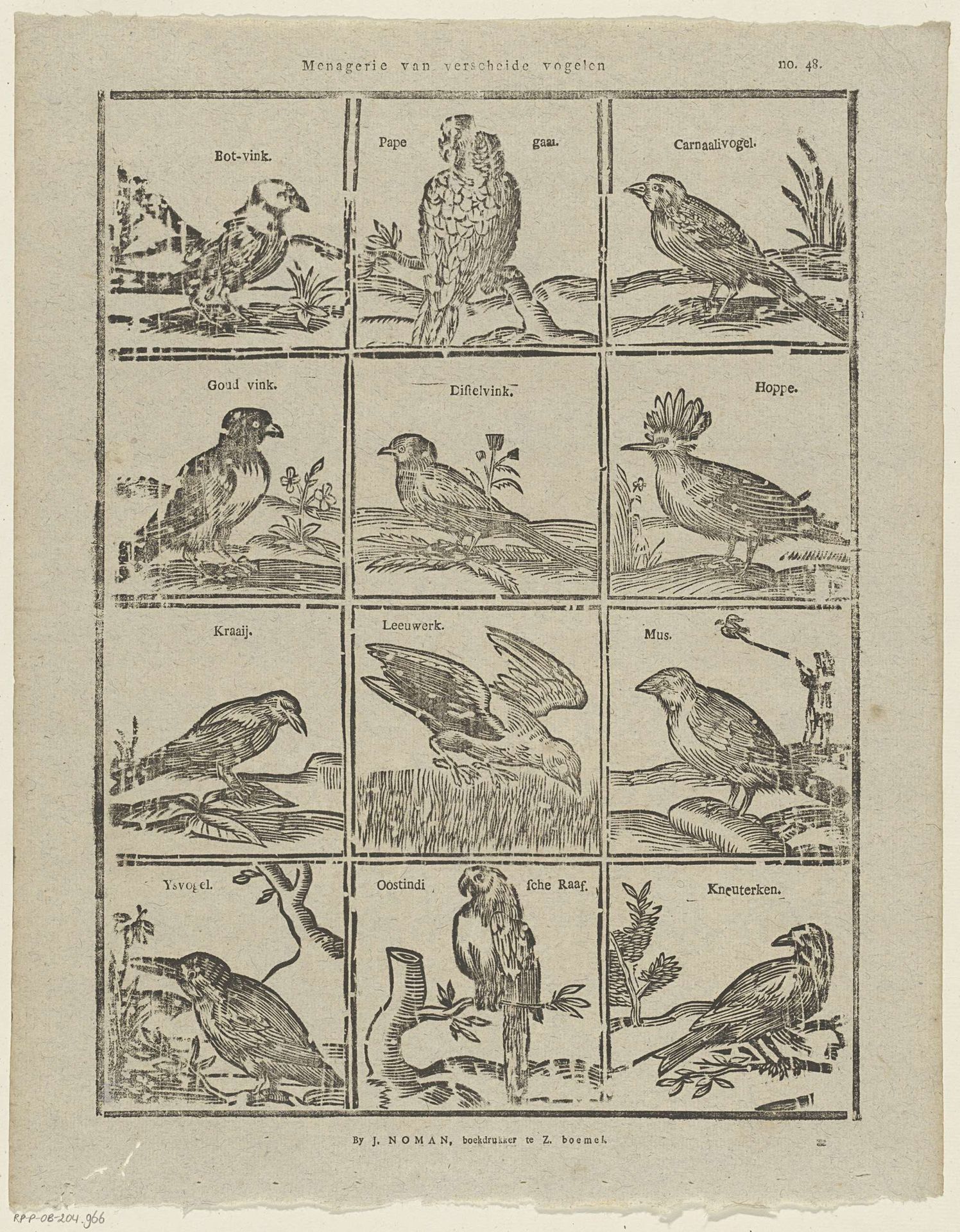 Menagerie van verscheide vogelen by Johan Noman