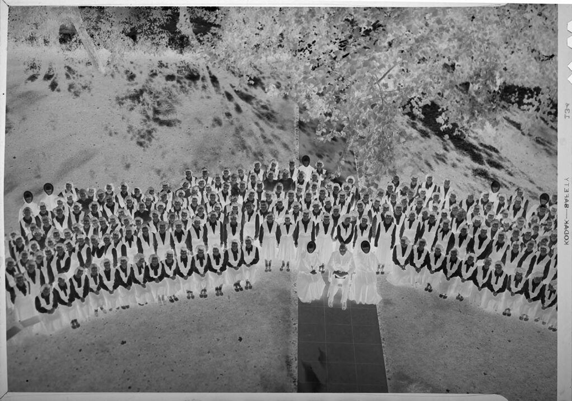 Untitled (portrait of large group of women, seen from above) by Ken Whitmire Associates