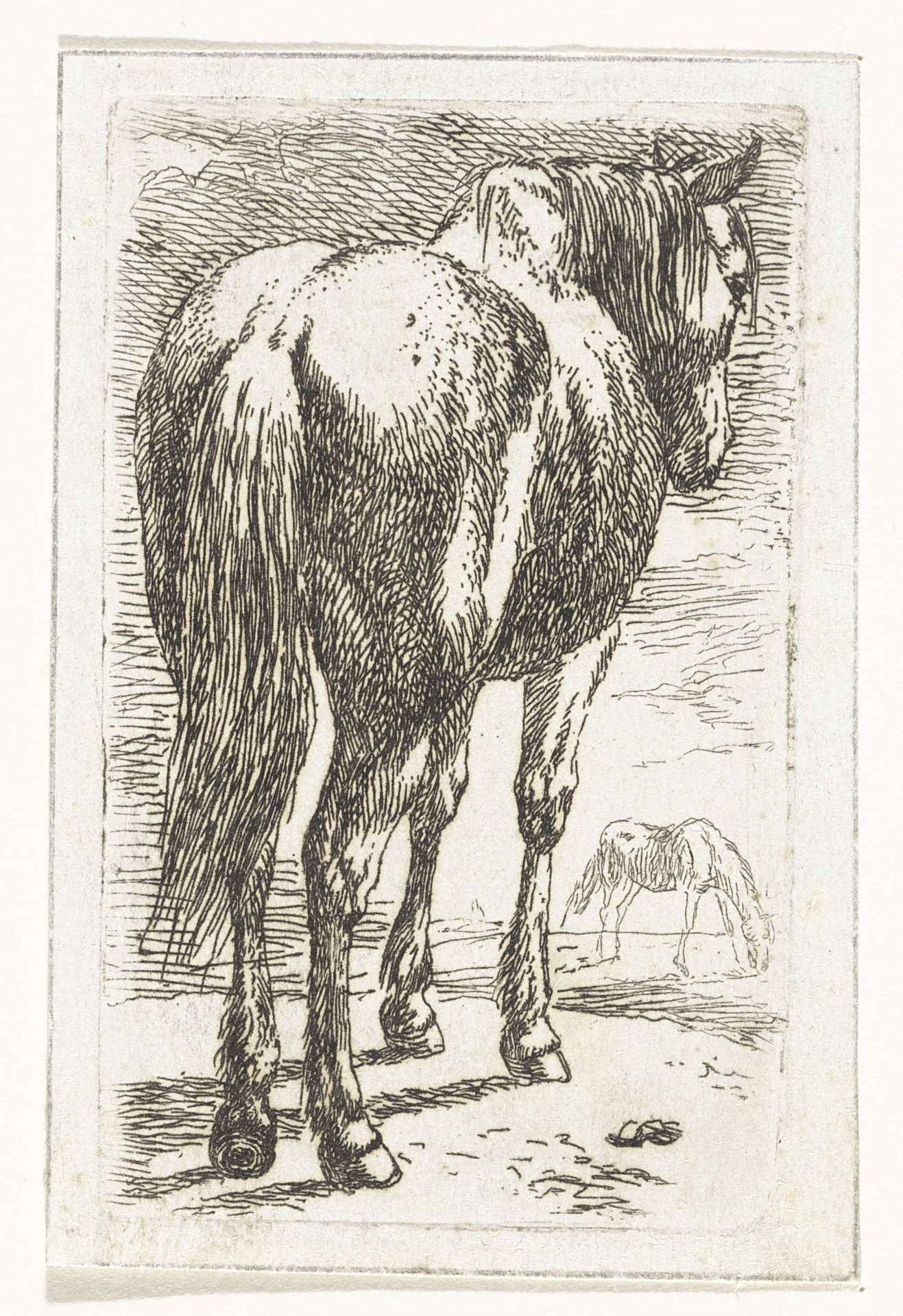 Staand paard, van achteren gezien by Abraham Hendrik Winter