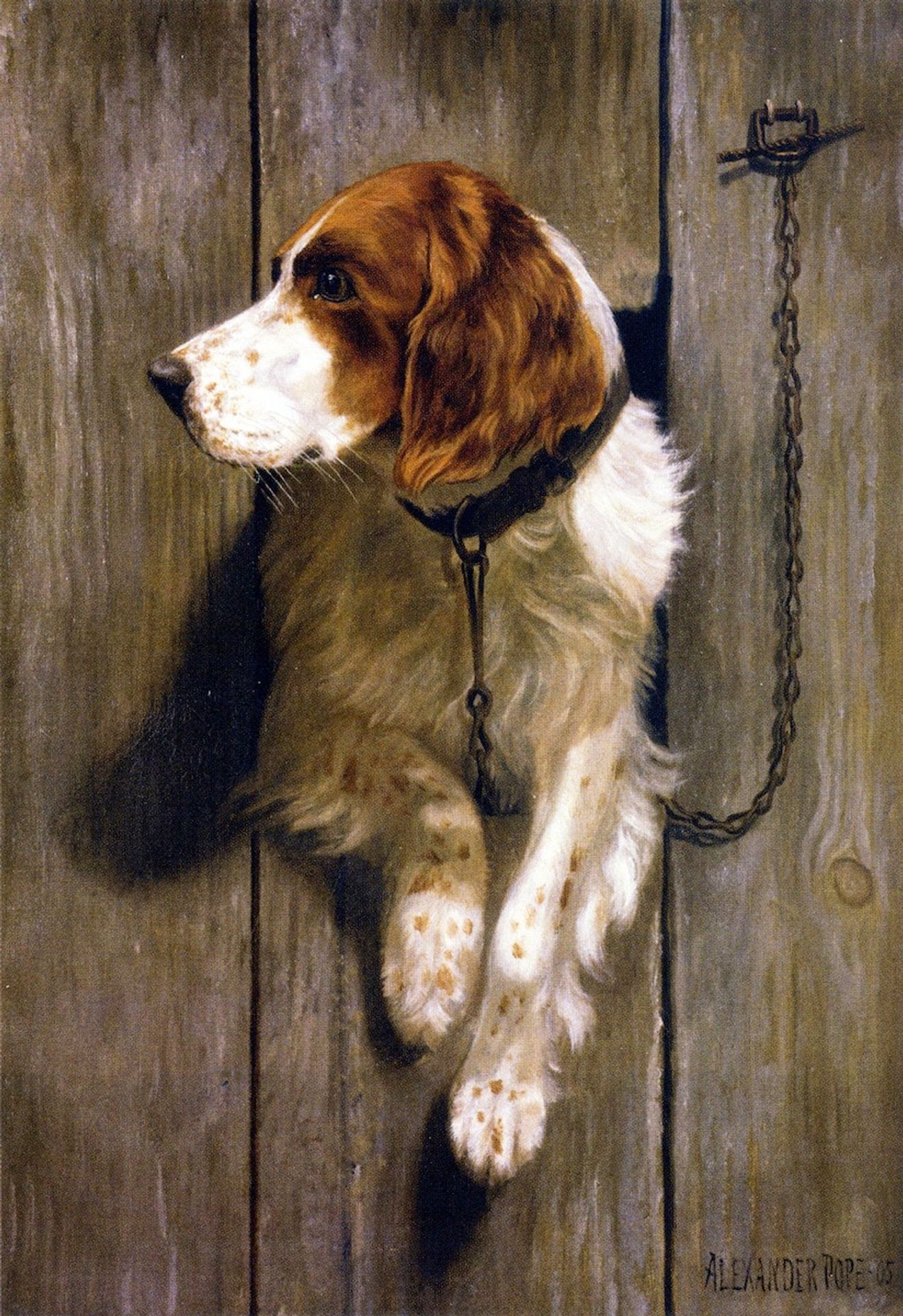 At the Kennel Door by Alexander Pope