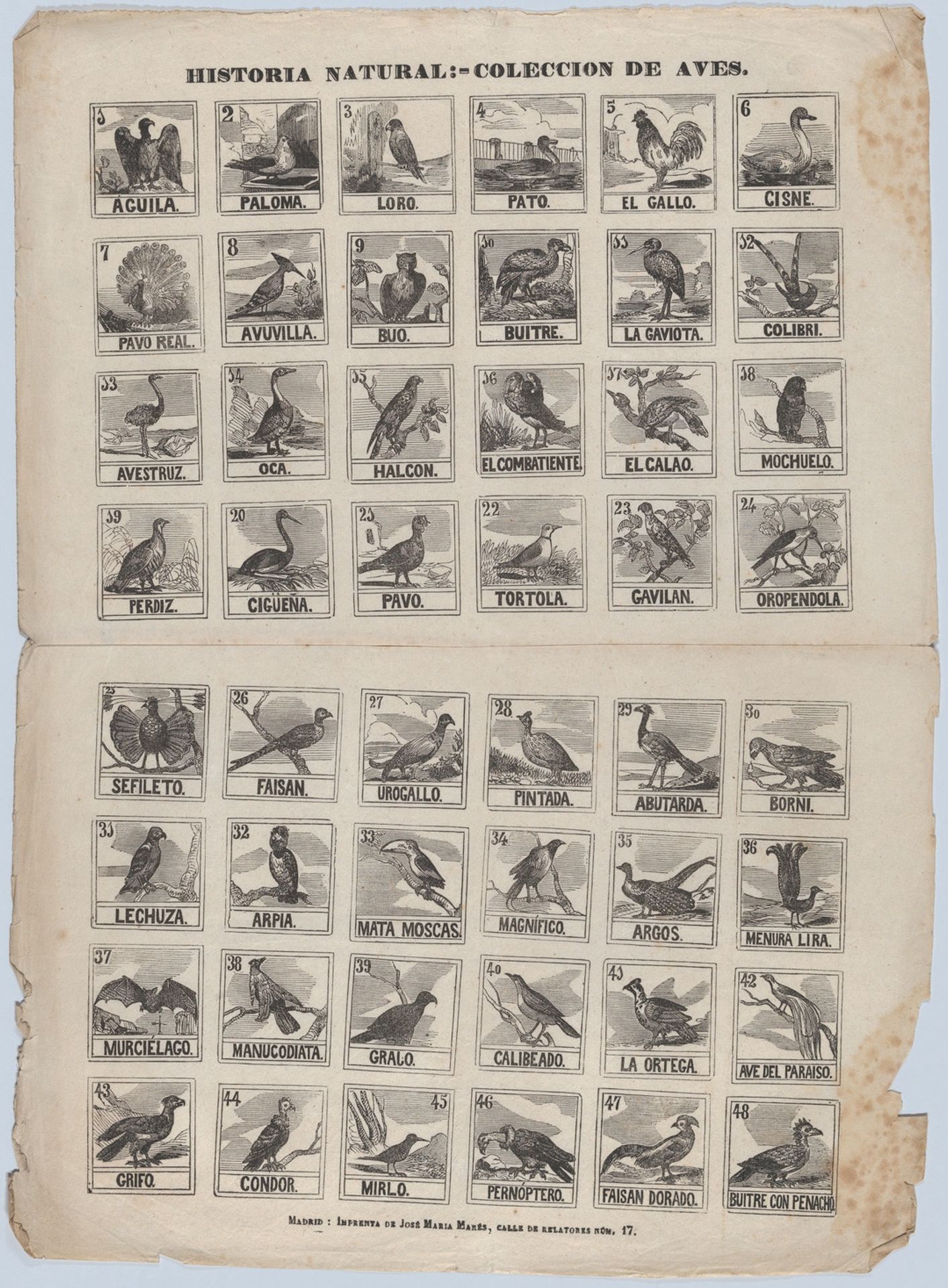 Broadside with 48 scenes of birds by José María Marés