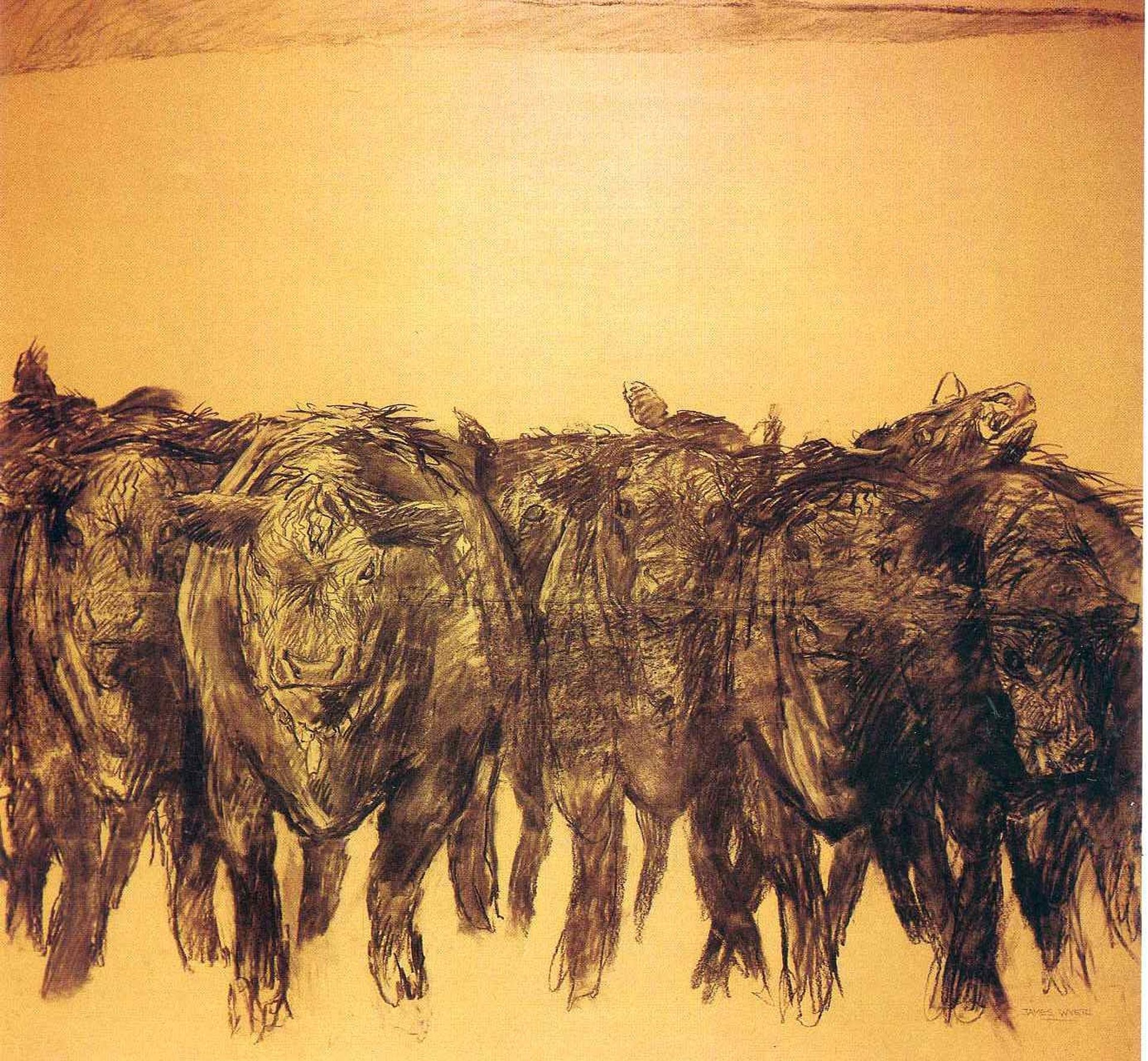 Angus - Study by Jamie Wyeth
