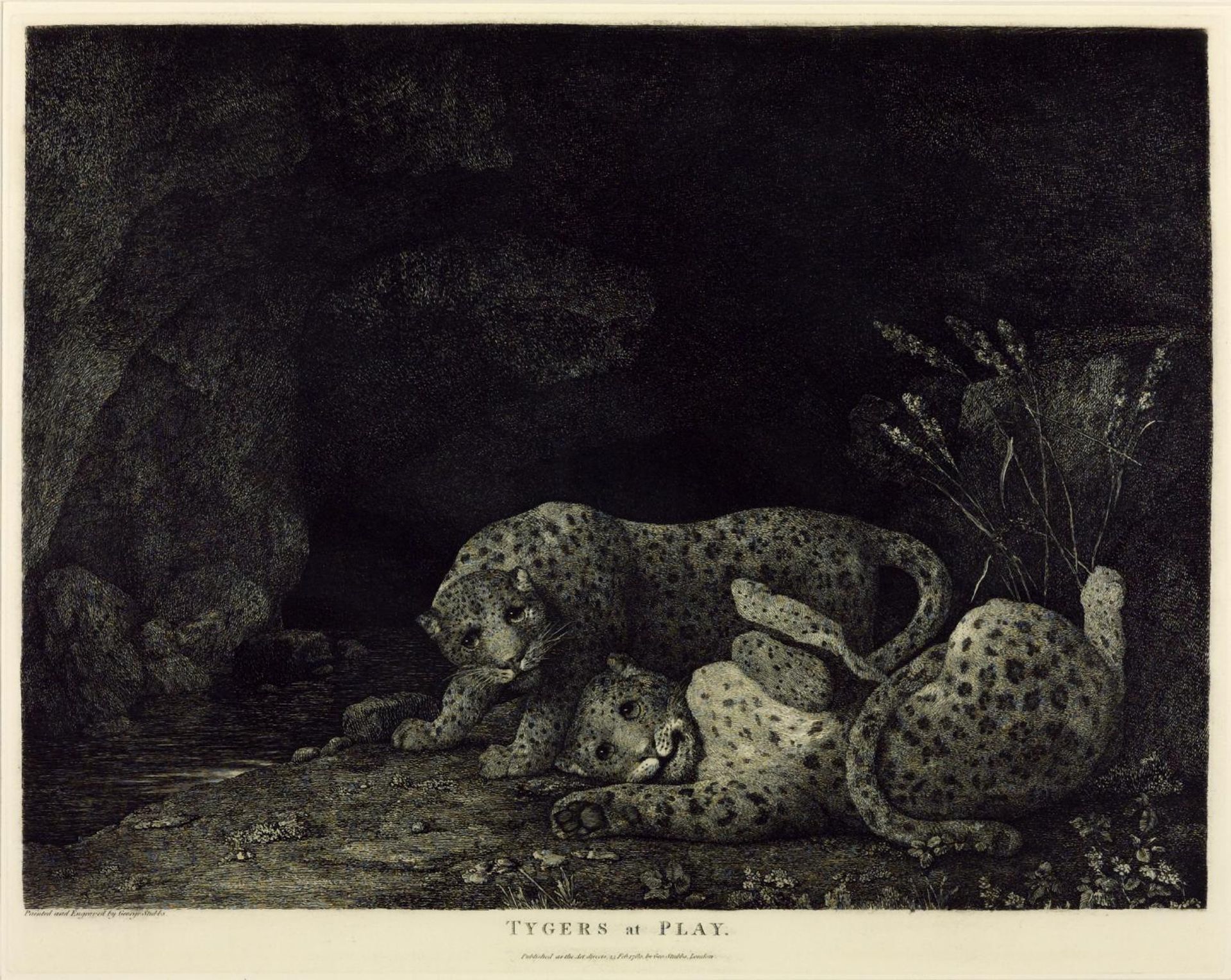 Leopards at Play by George Stubbs