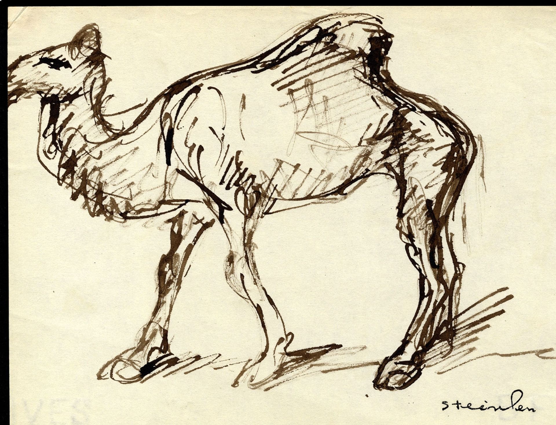 Camel by Théophile Alexandre Steinlen