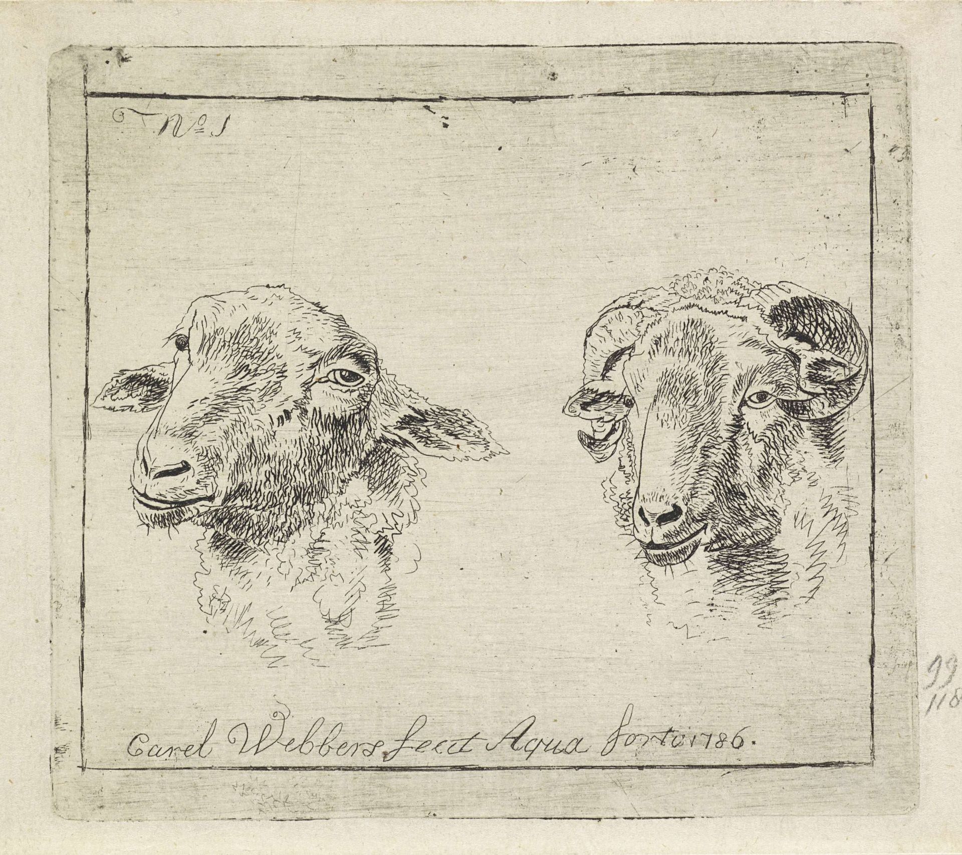 Kop van een ram en kop van een schaap by Carel Webbers