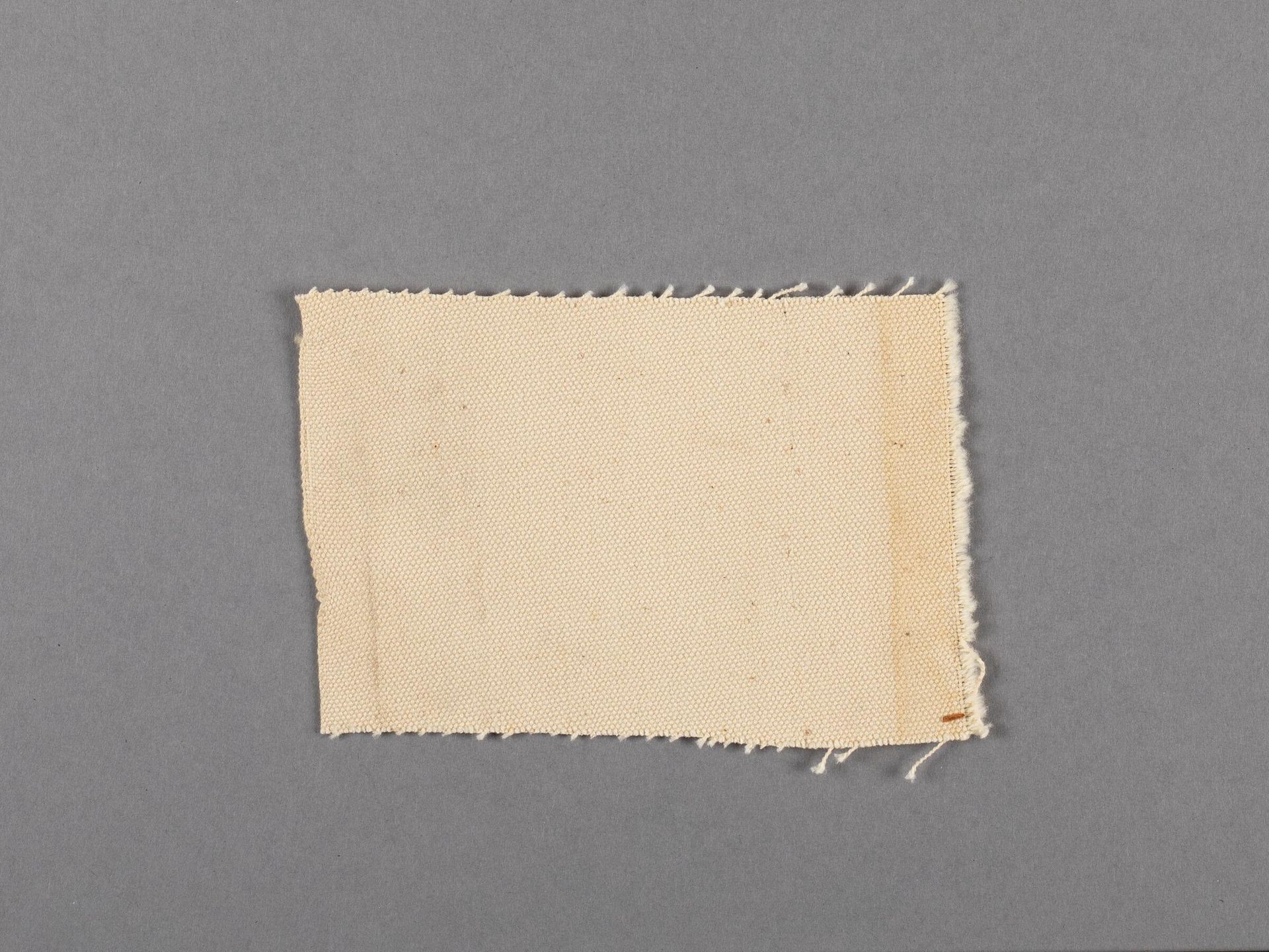 Canvas fragment by Barnett Newman