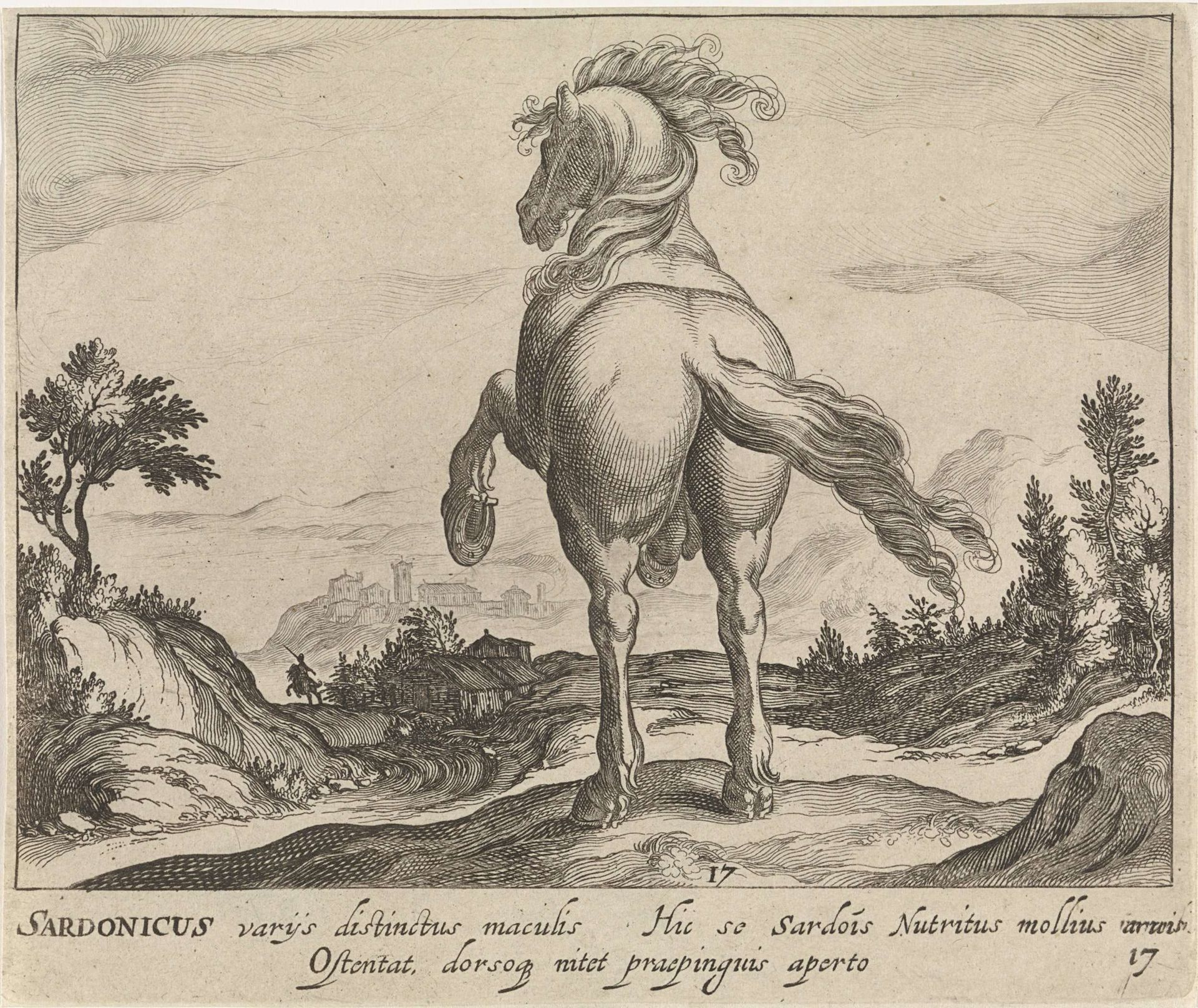 Landschap met paard uit Sardinië, steigerend by Egbert Van Panderen