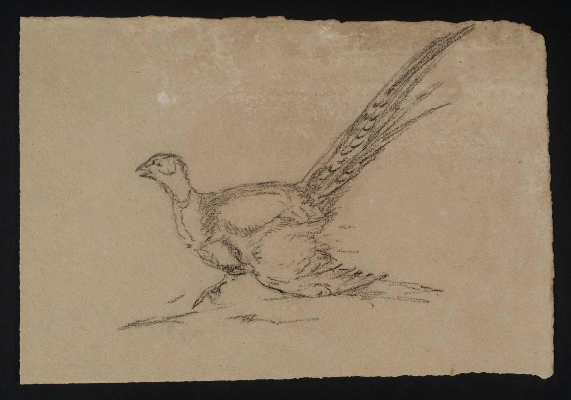 [title not known] by British School