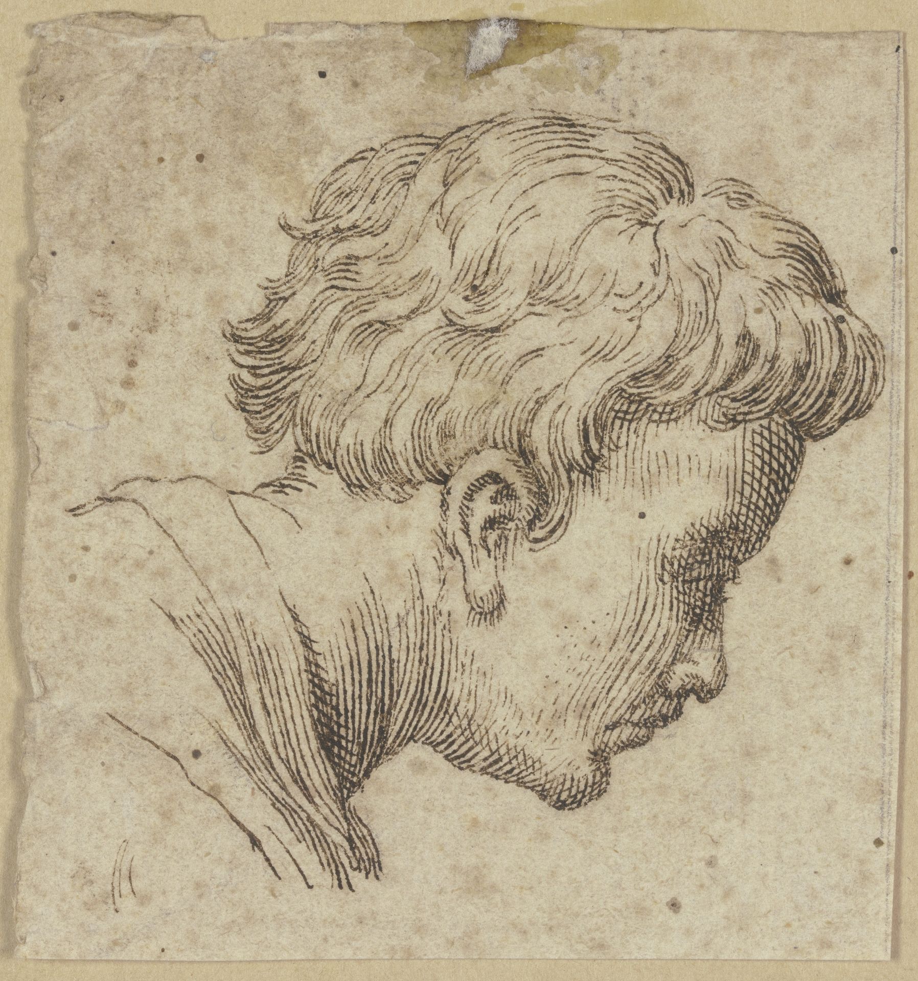 Männerkopf im Profil nach rechts by Hendrick Goltzius
