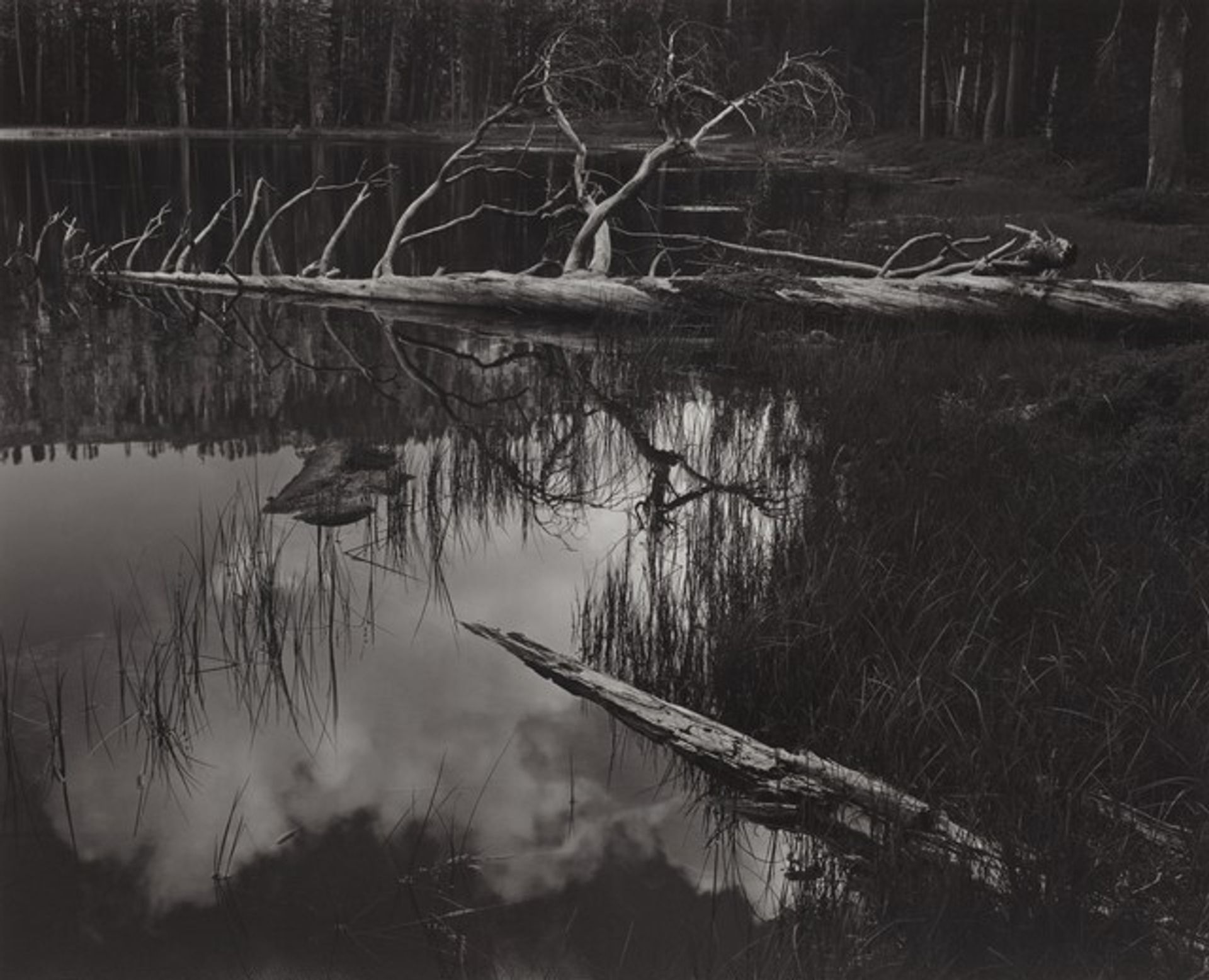 Siesta Lake, Yosemite National Park, California by Ansel Adams