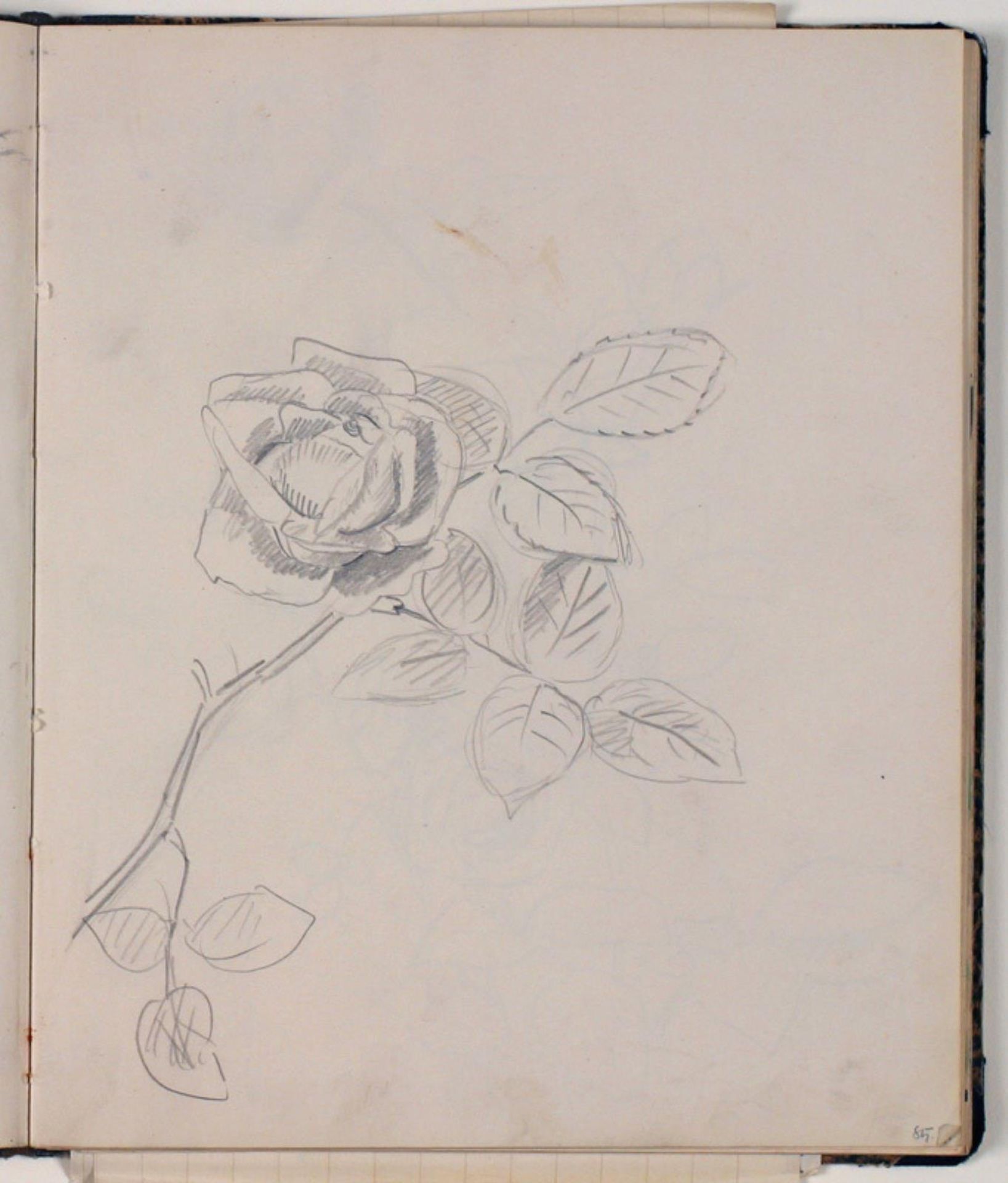 Studie af rose by Niels Larsen Stevns