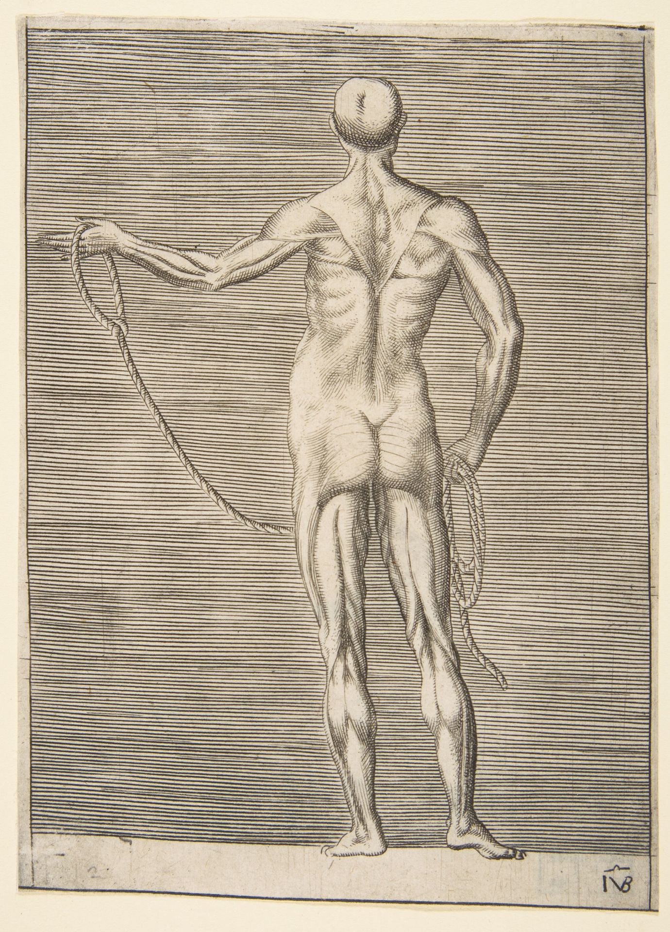 Flayed man seen from behind, holding a rope by Giulio Bonasone