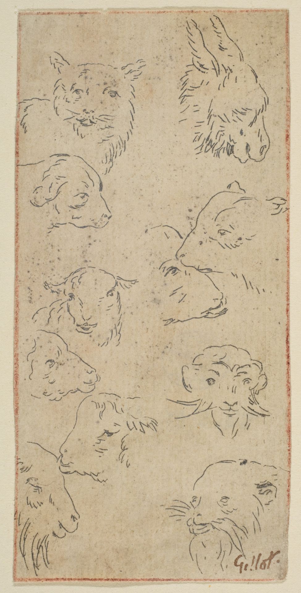 Study of animal heads by Claude Gillot