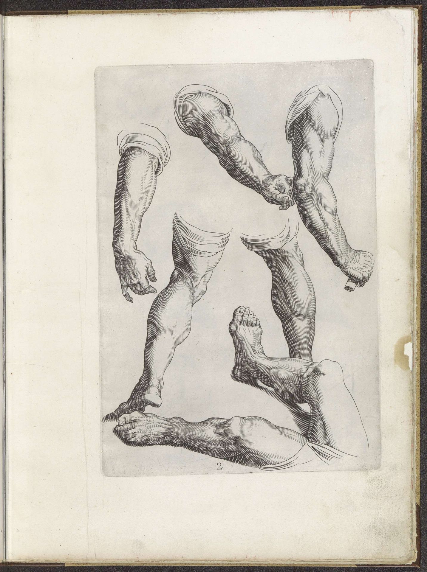 Tekenvoorbeelden van armen en benen by Pieter de Jode I