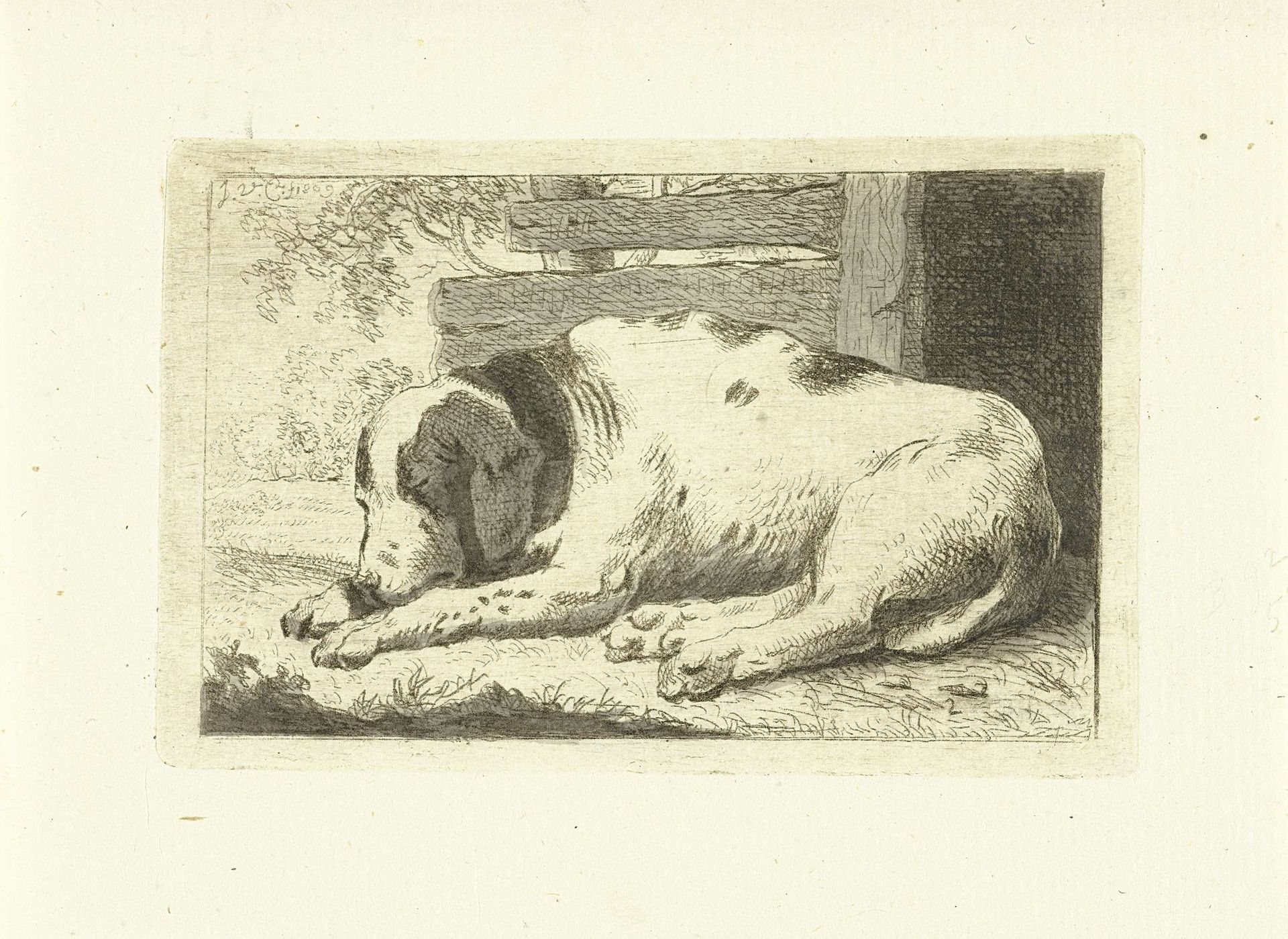 Slapende hond by Johannes van Cuylenburgh