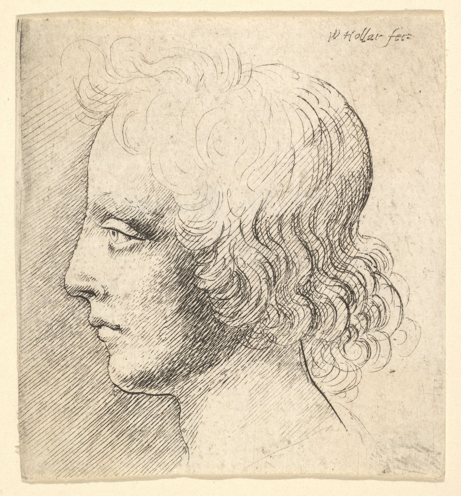 Head of Young Man by Wenceslaus Hollar