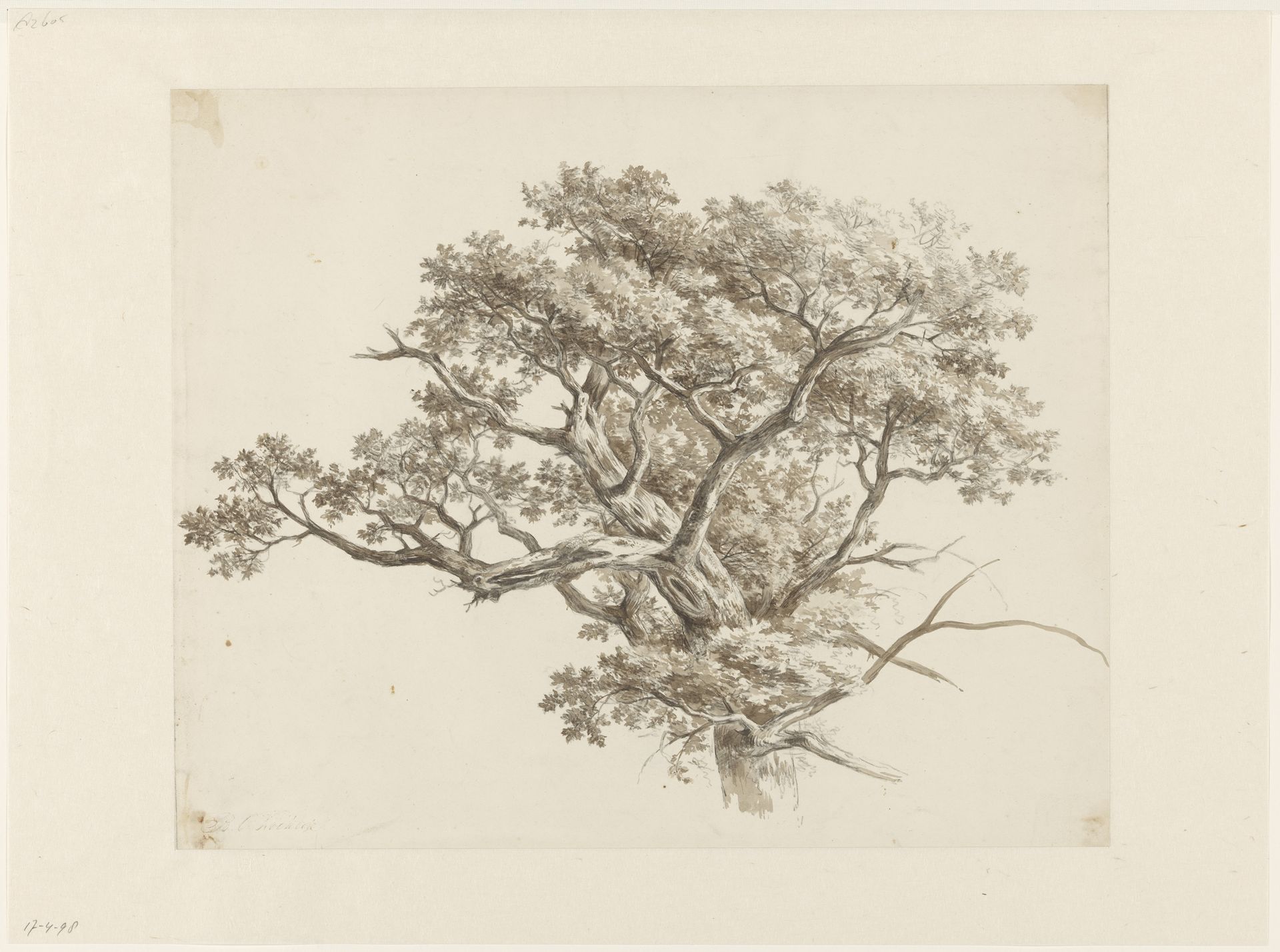 Boomstudie by Barend Cornelis Koekkoek