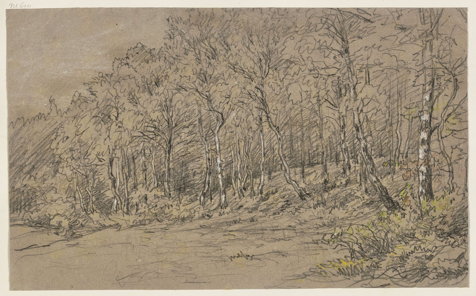 Birch trees at the edge of the forest by Jakob Maurer