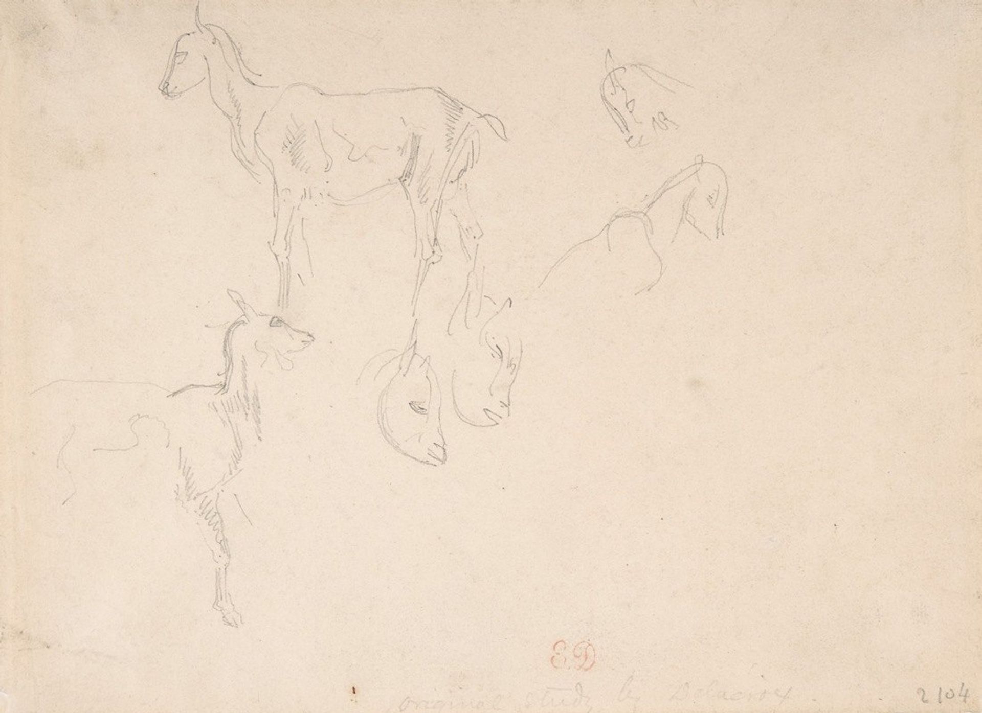 Studies of a Goat by Eugène Delacroix