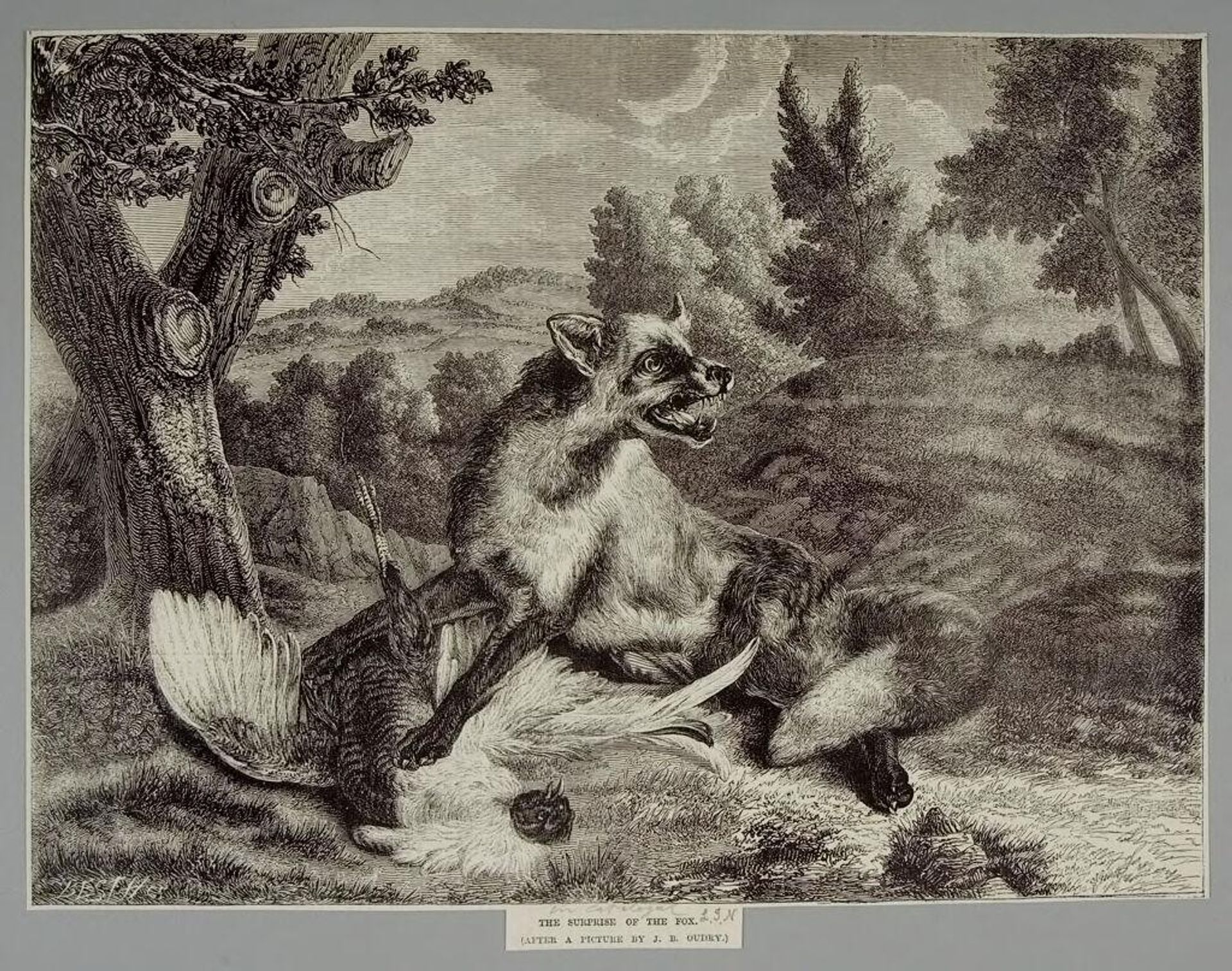 Surprise of the Fox by Best et Cie