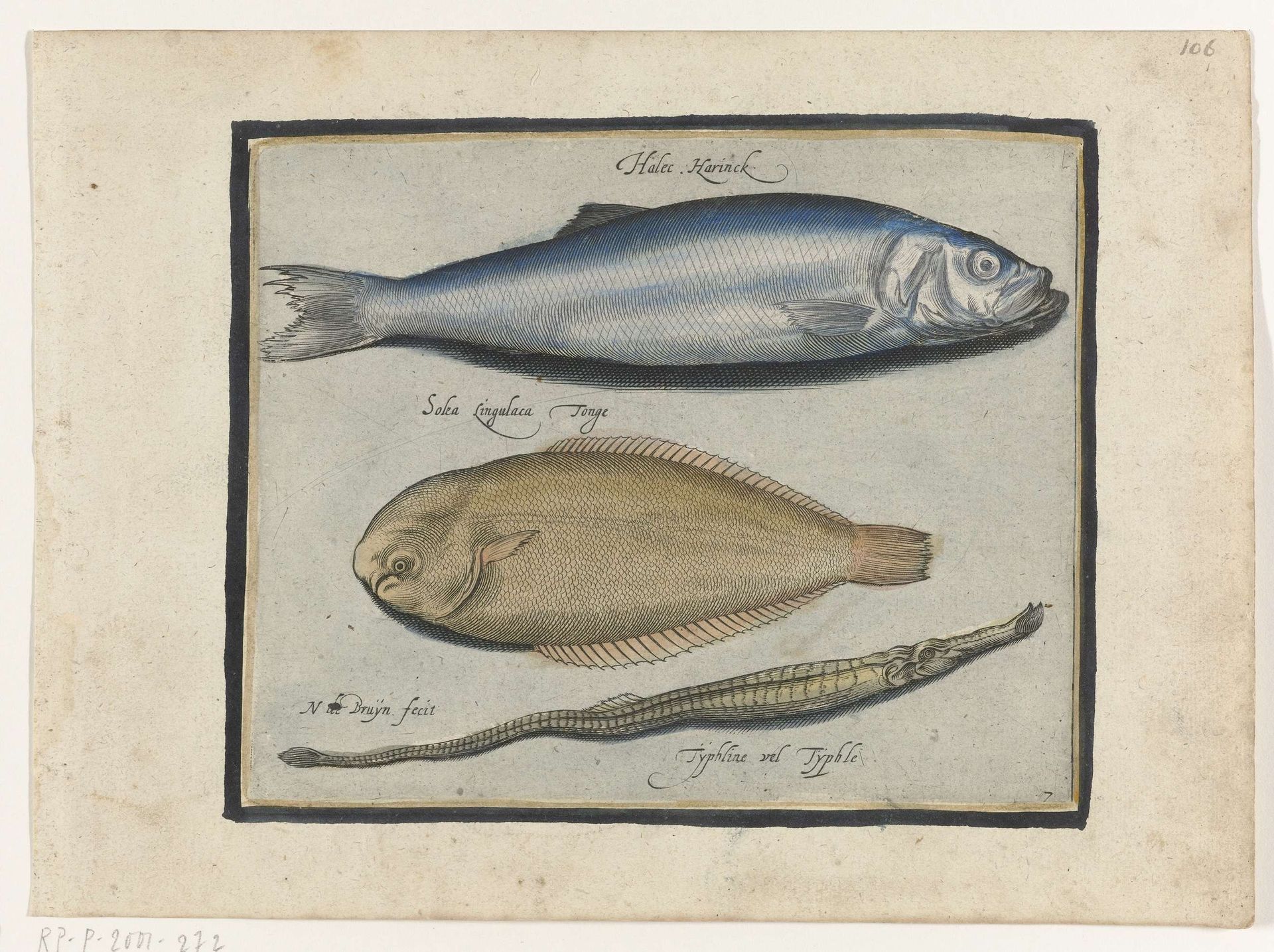 Haring, tong en zeenaald by Nicolaes de Bruyn