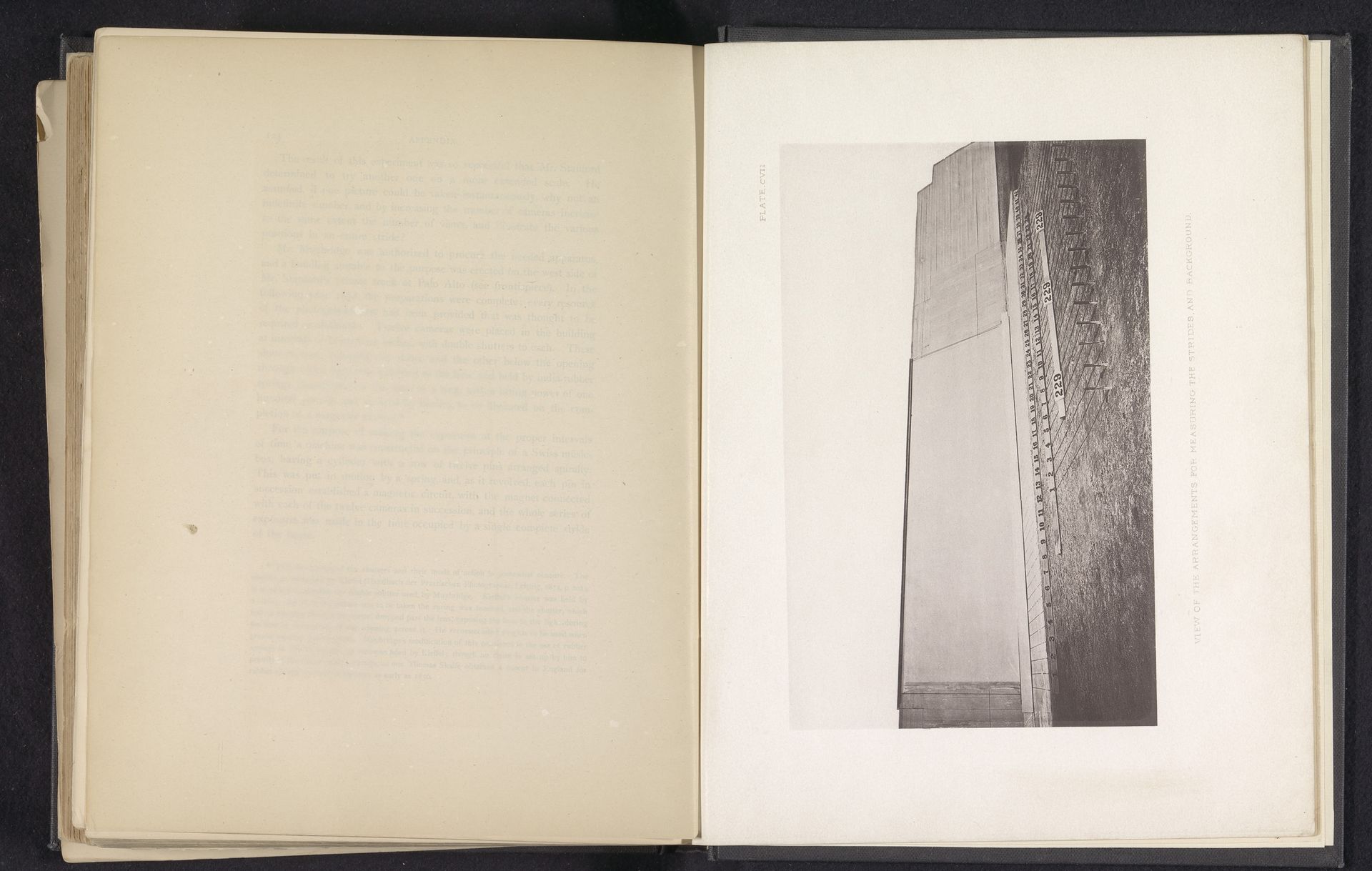 Opstelling met stappentellers voor het fotograferen van een paard in beweging by Eadweard Muybridge